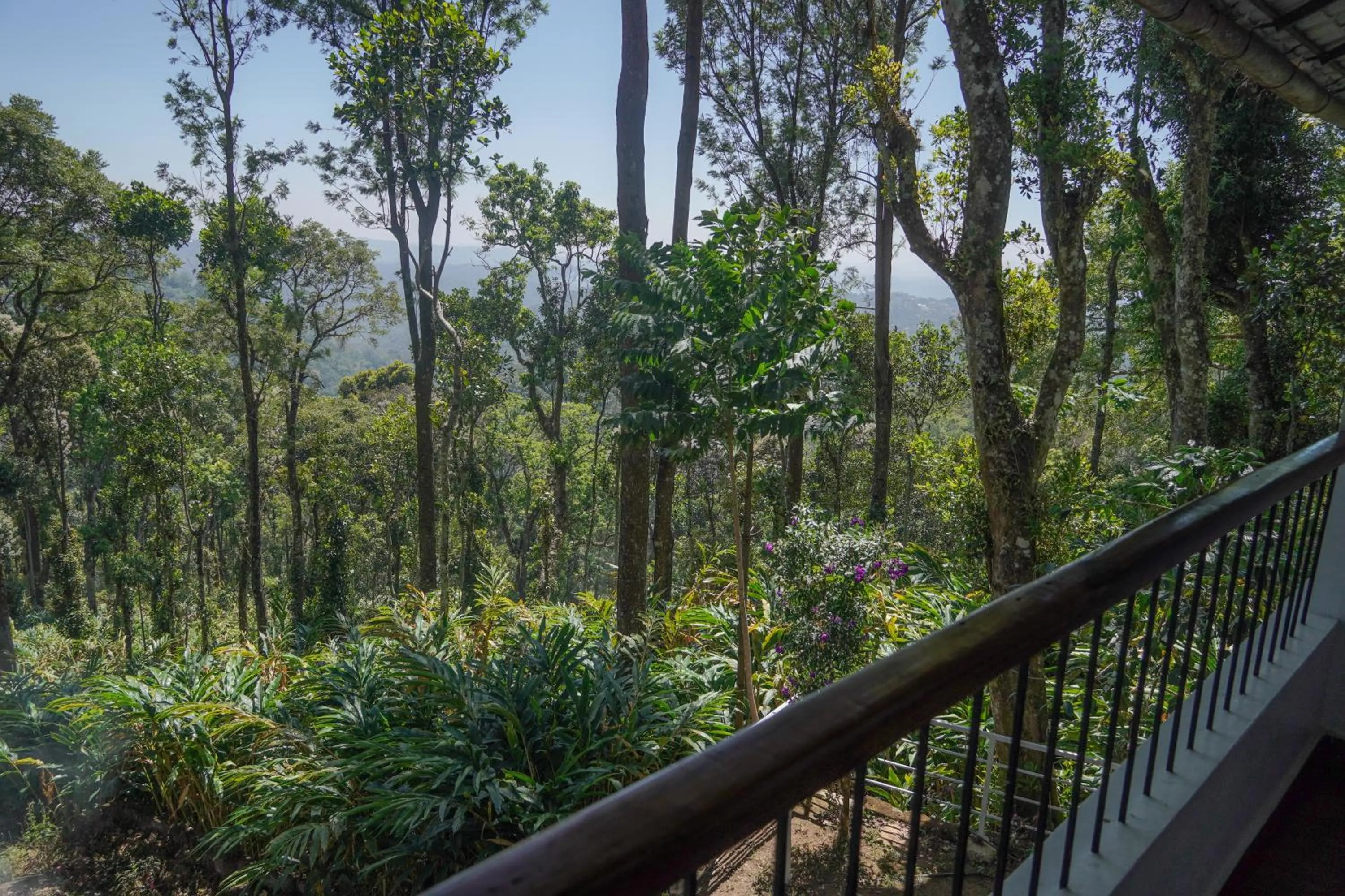 View (from property/room) in Blue Bells Resort By Maat Hotels