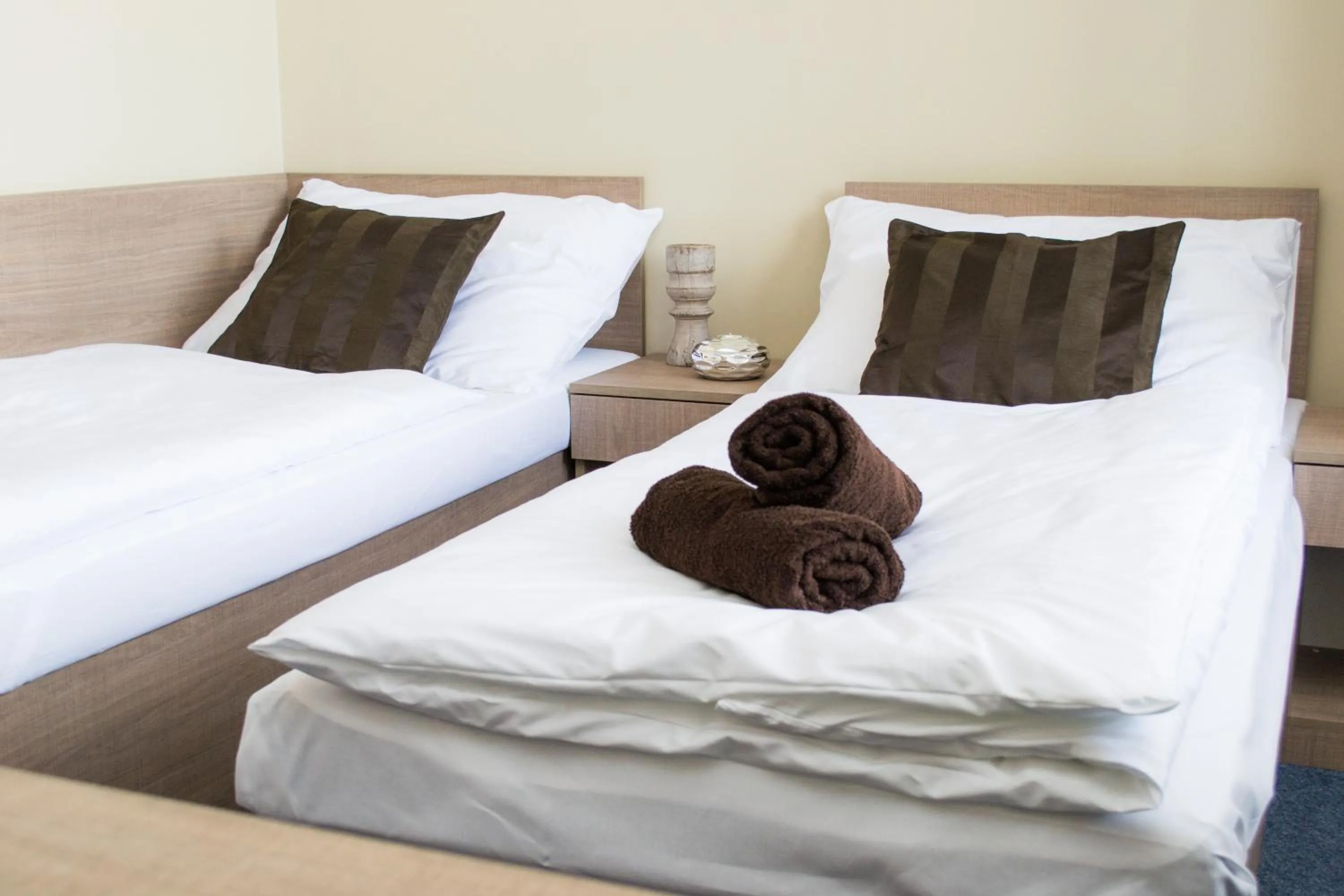 Twin Room with Shared Bathroom in Penzion s wellness Uherské Hradiště