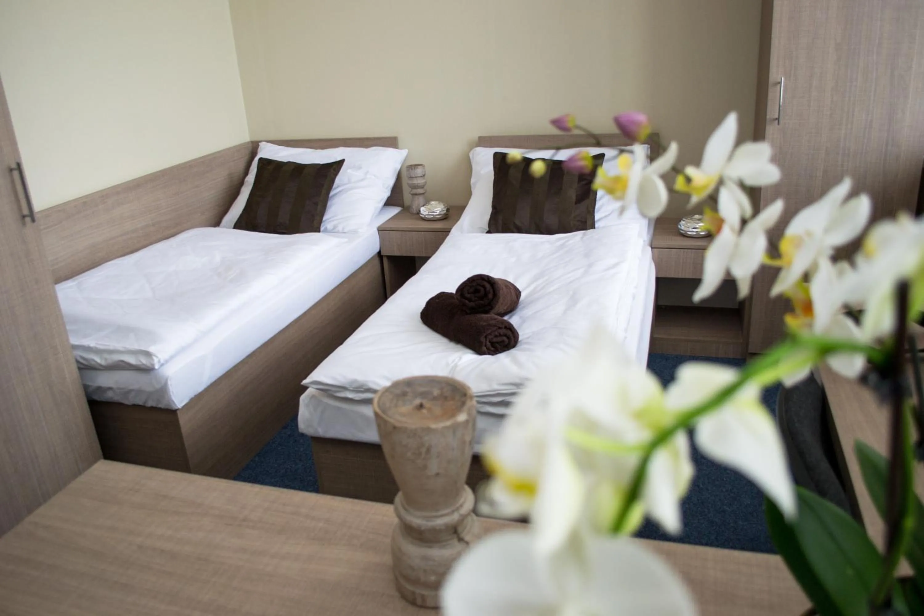 Triple Room with Shared Bathroom in Penzion s wellness Uherské Hradiště