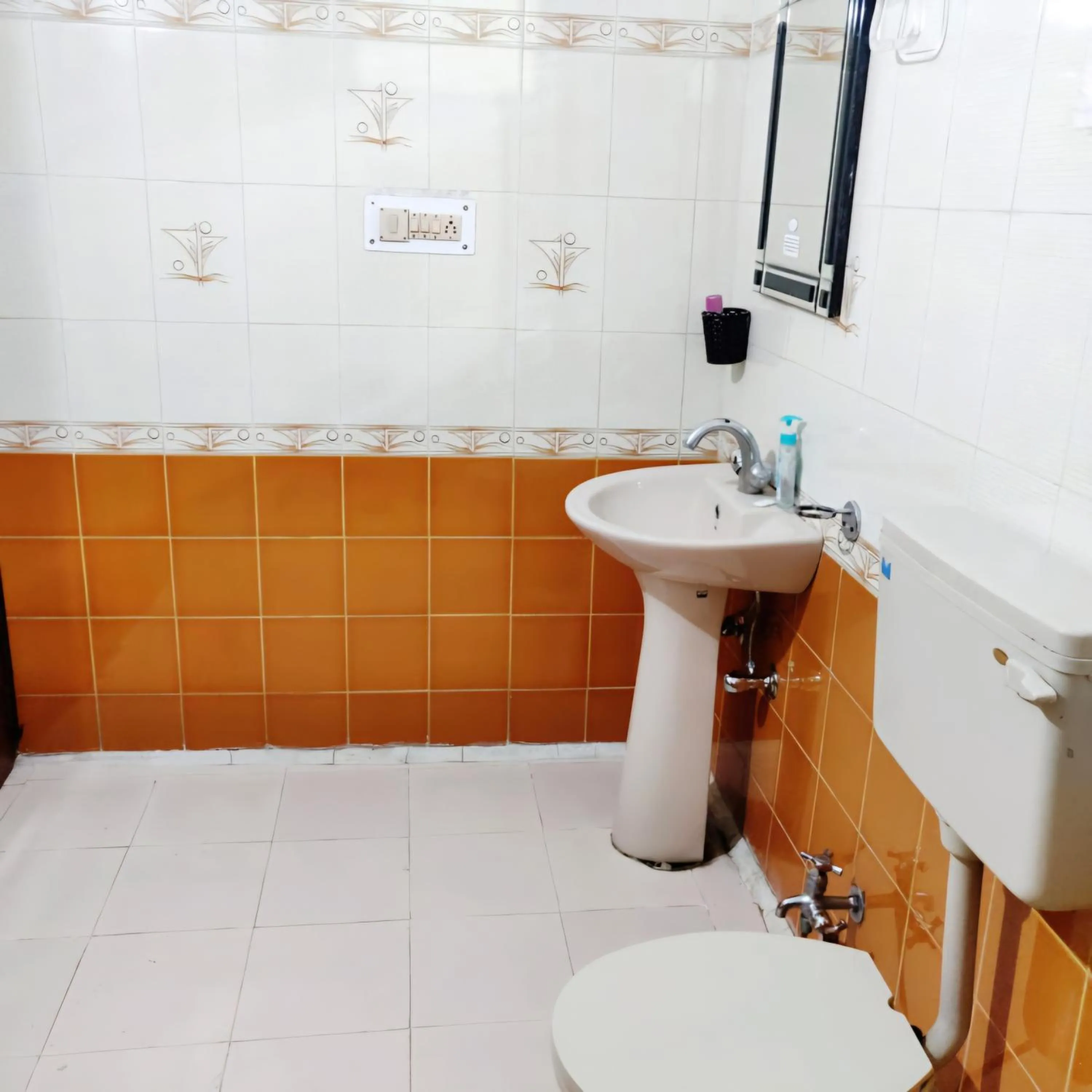 DEV COTTAGE AnD HOMESTAY