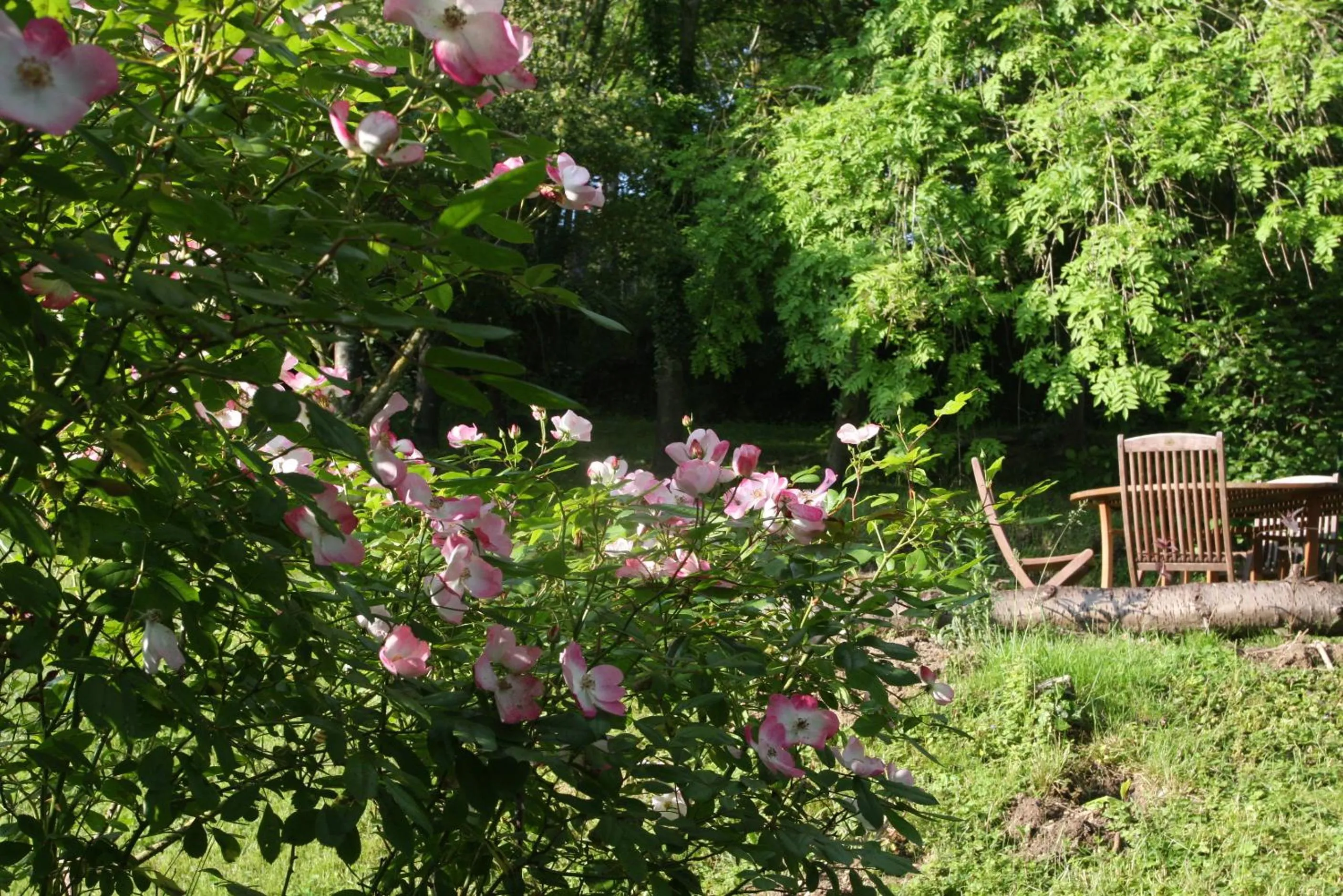 Garden in Le Coin des Artistes