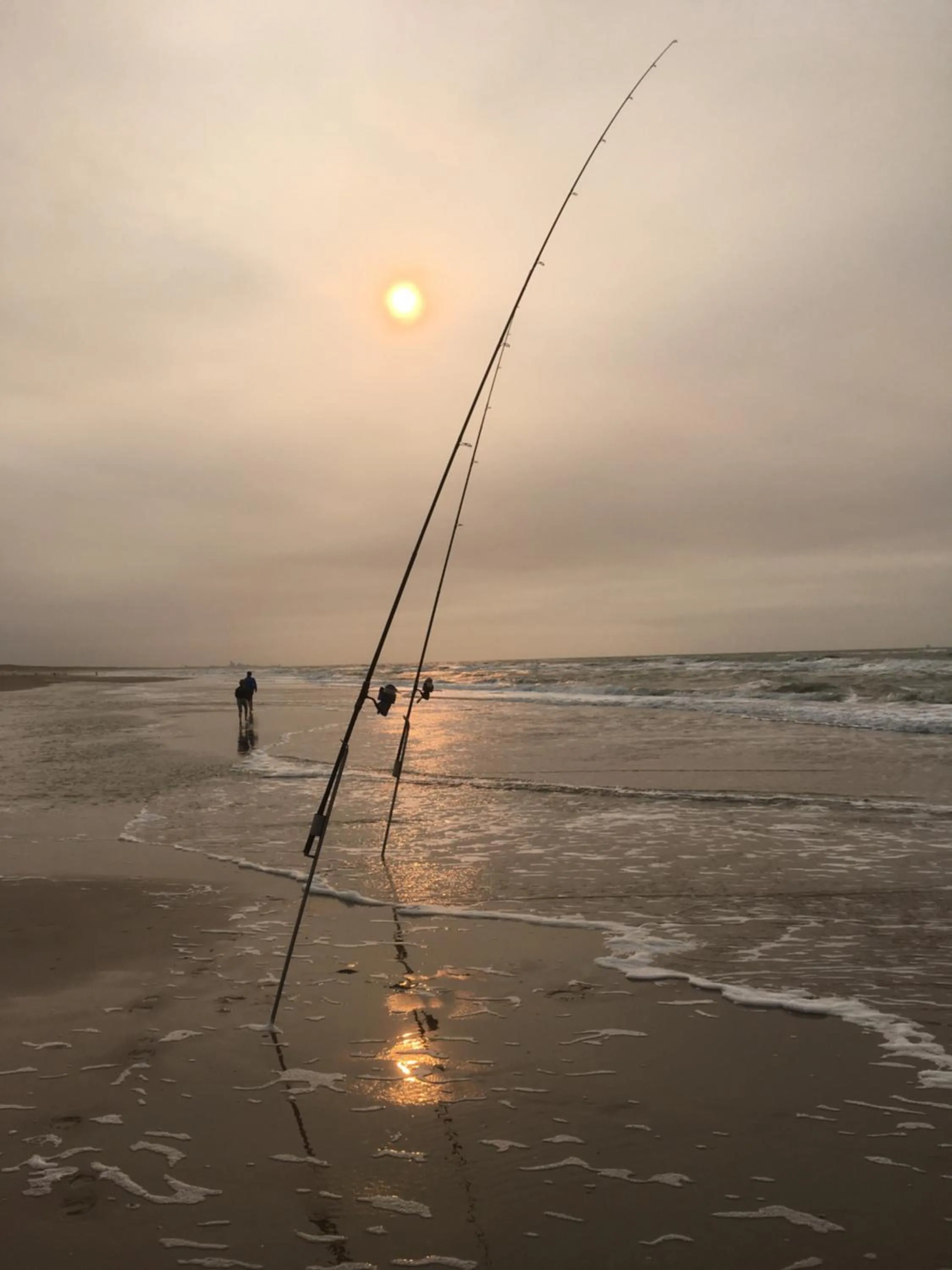 Activities in Bed and Breakfast Kik en Bun