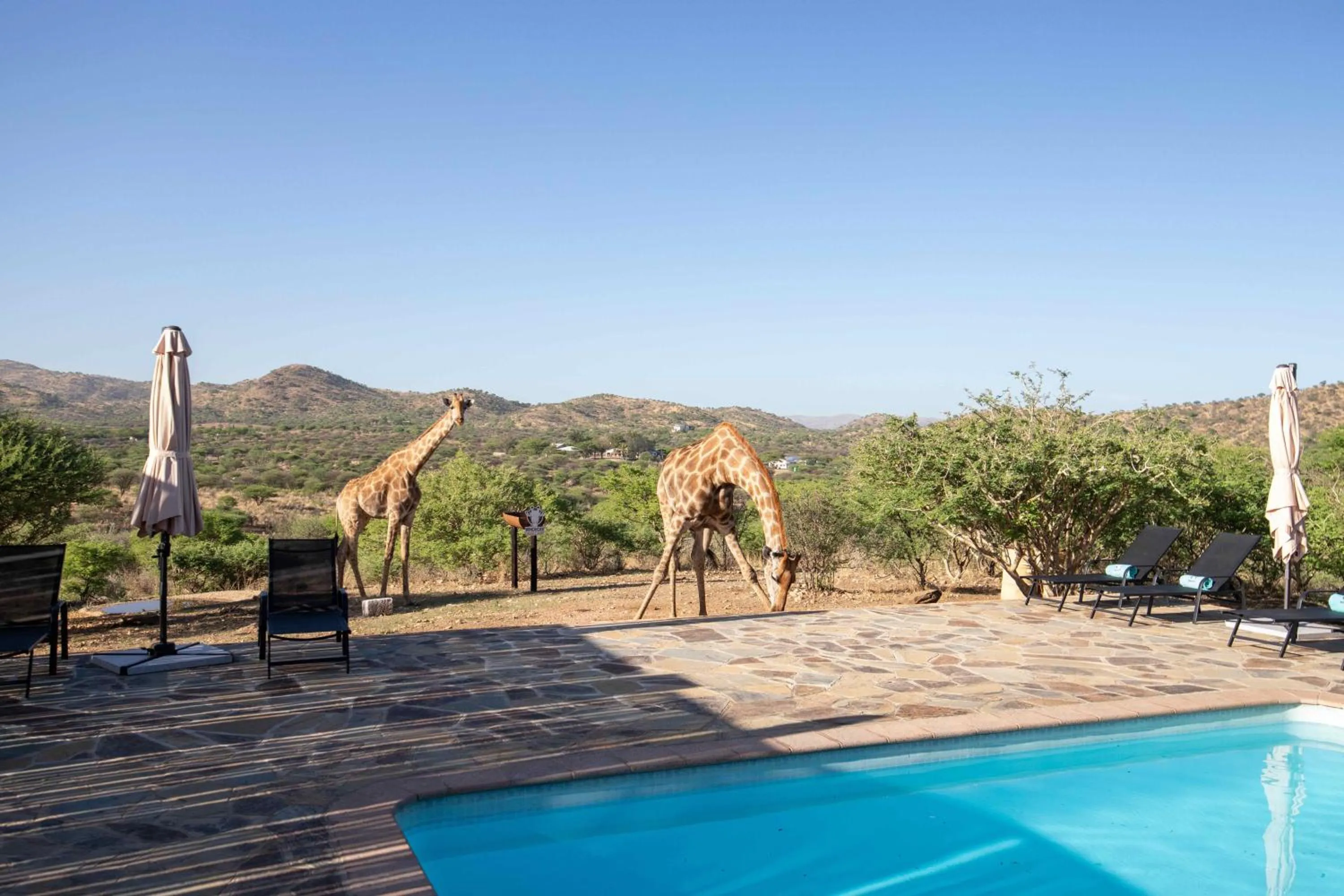 Day in Windhoek Game Camp