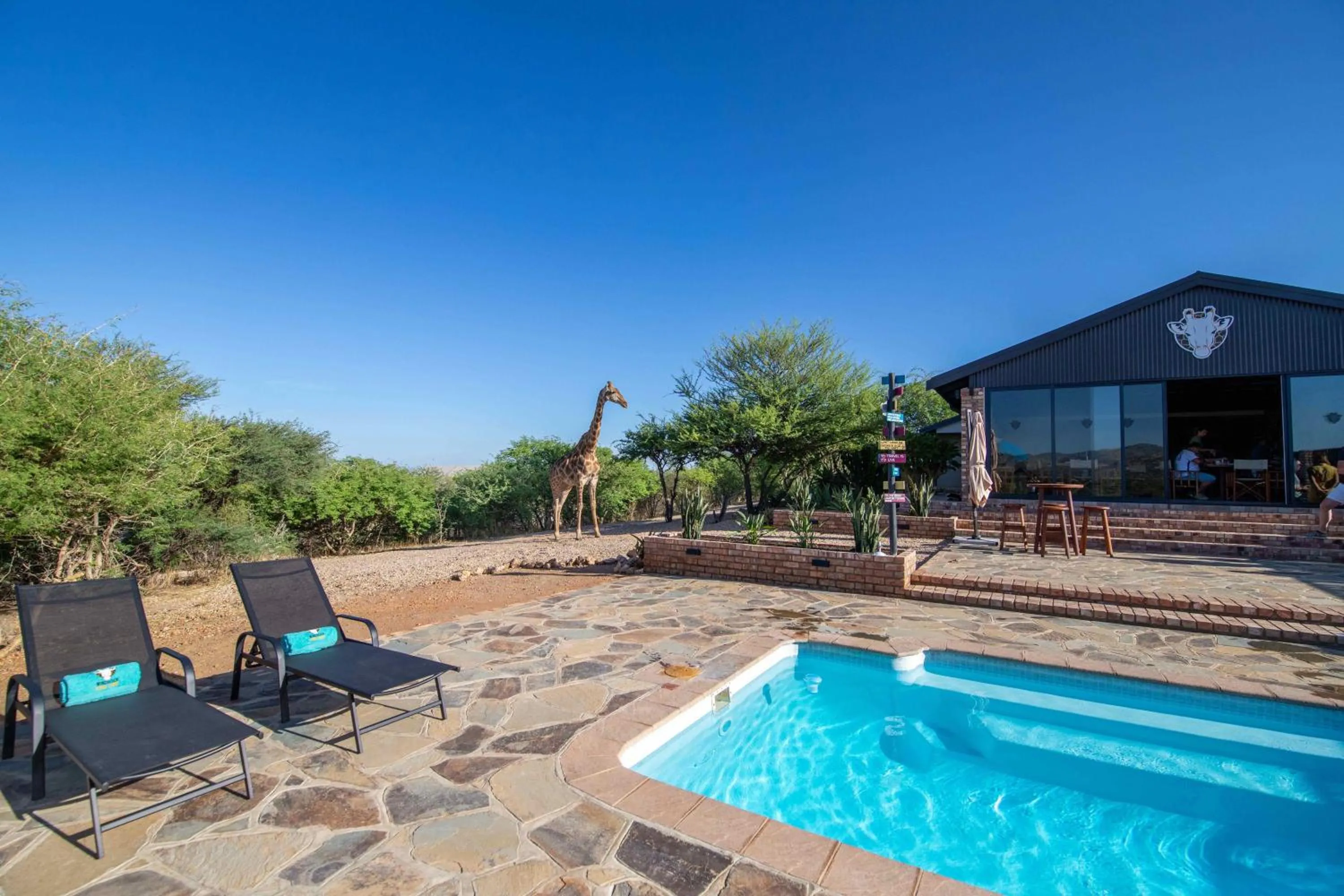 Property building in Windhoek Game Camp