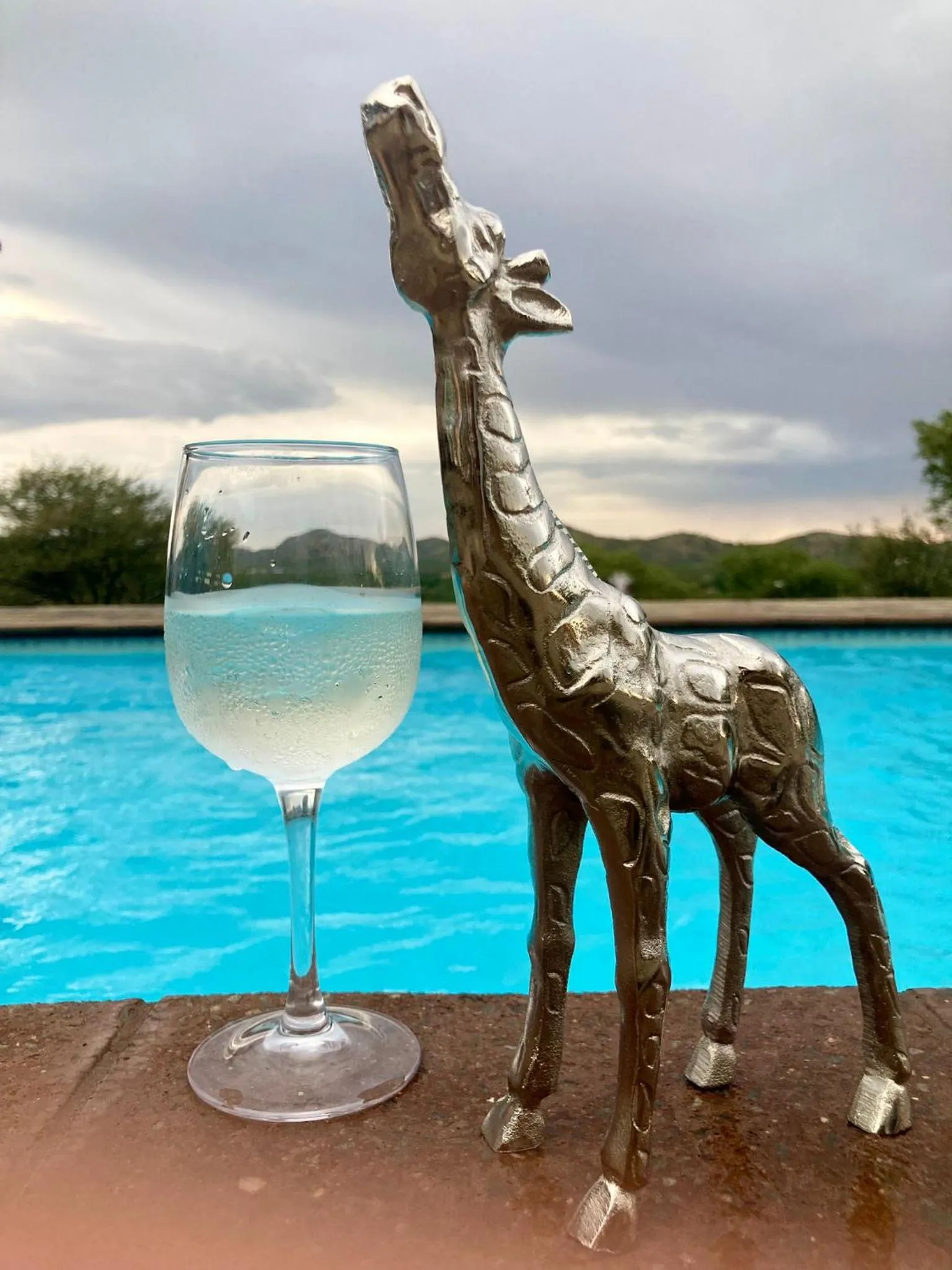 Lounge or bar in Windhoek Game Camp