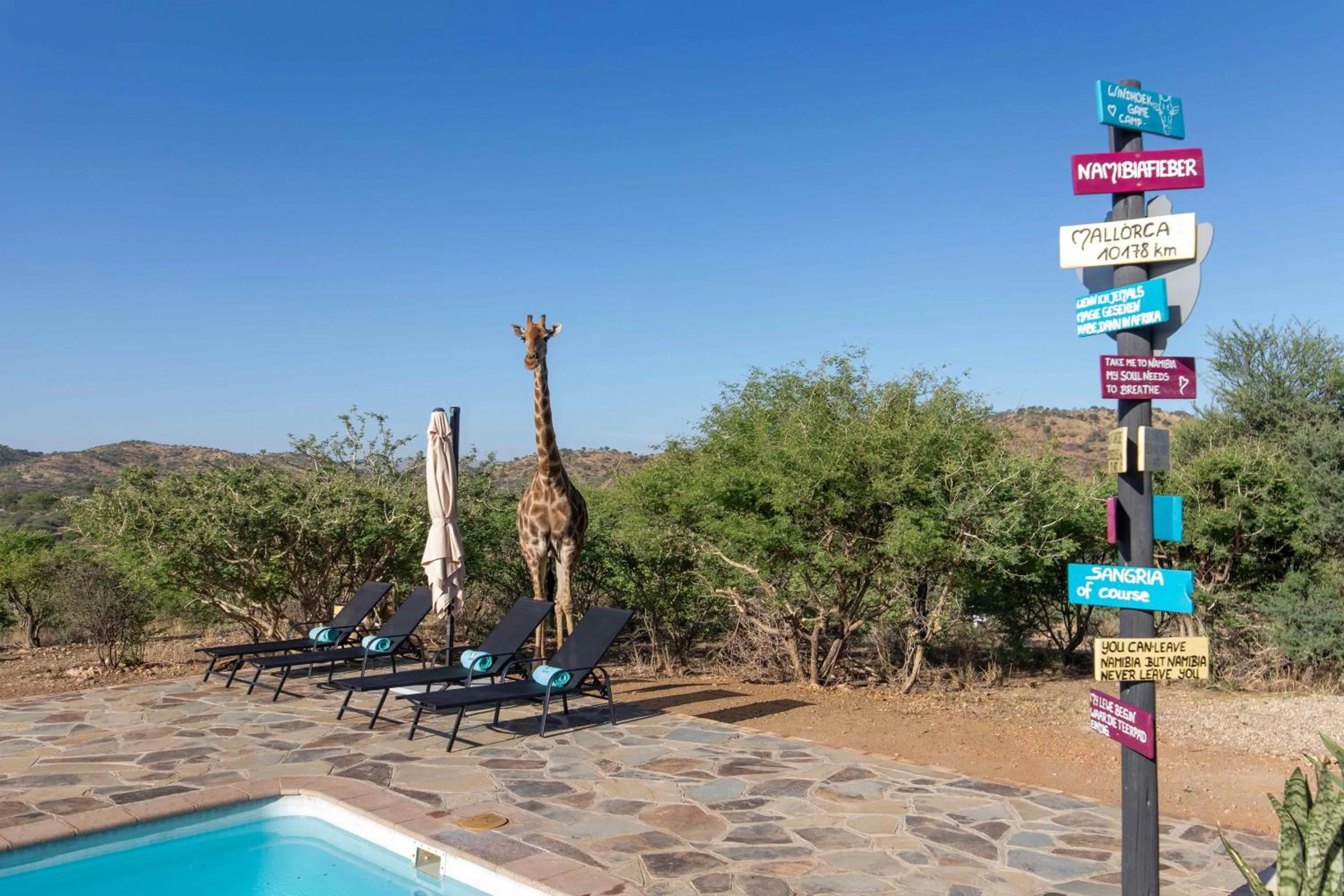 Animals in Windhoek Game Camp