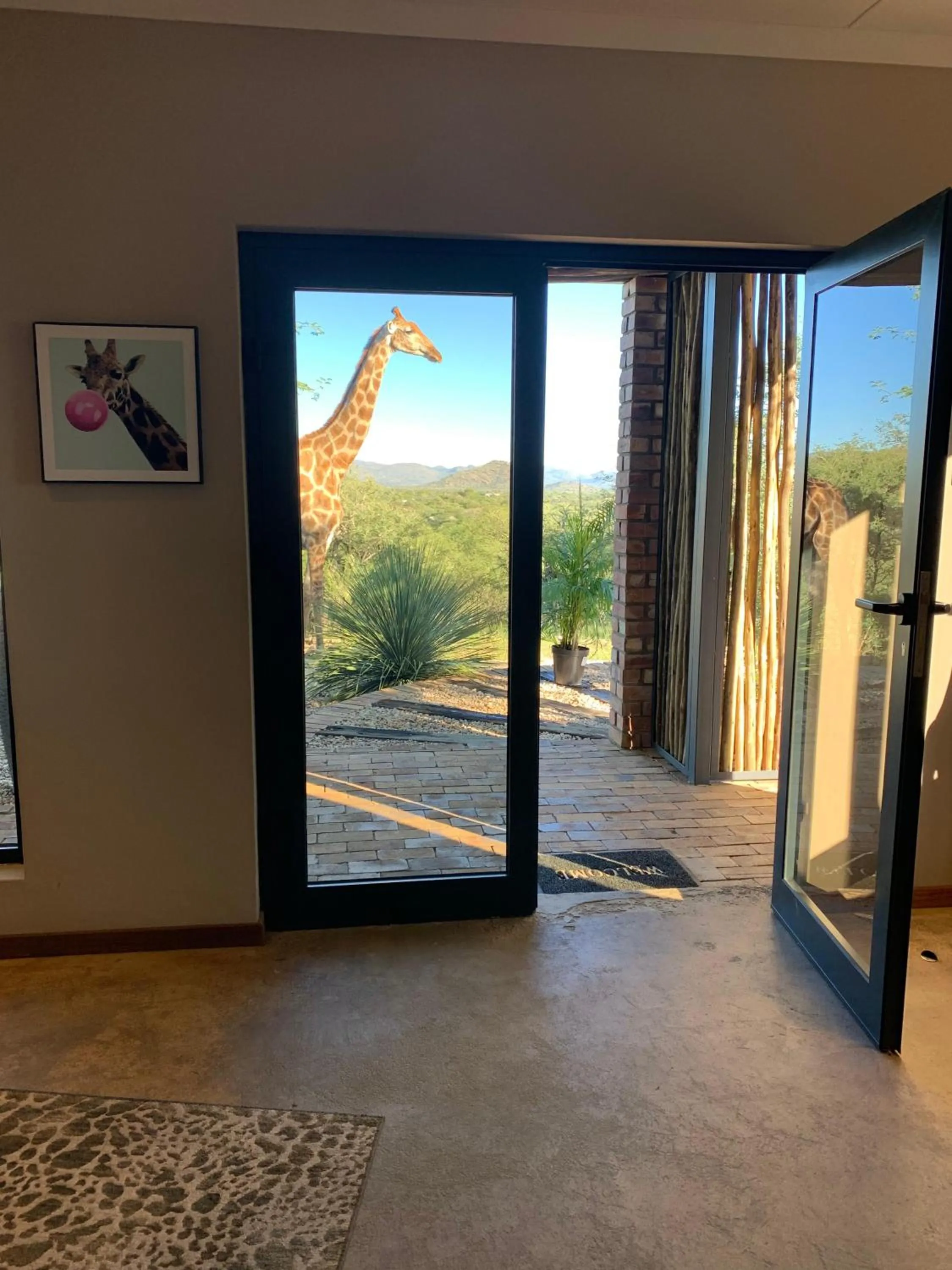 Lobby or reception in Windhoek Game Camp