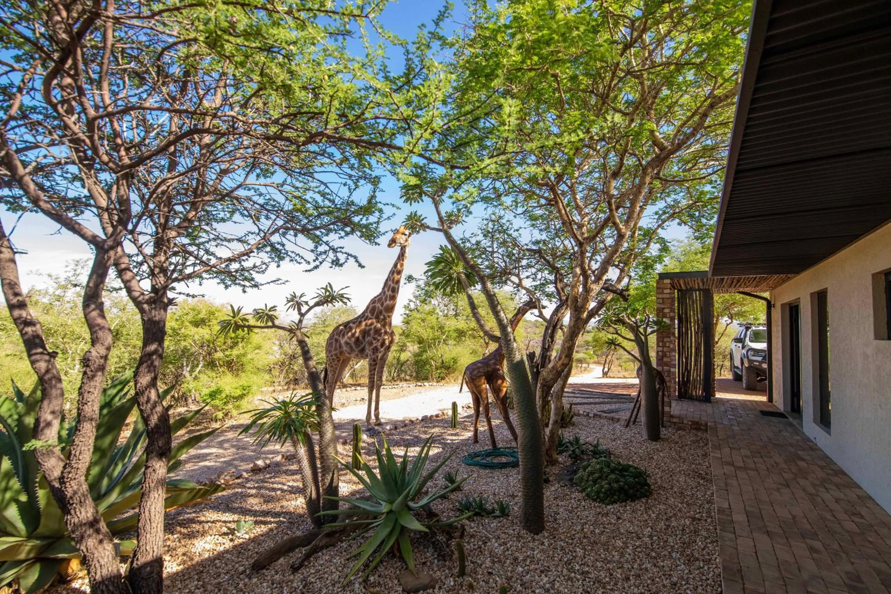 Property building in Windhoek Game Camp