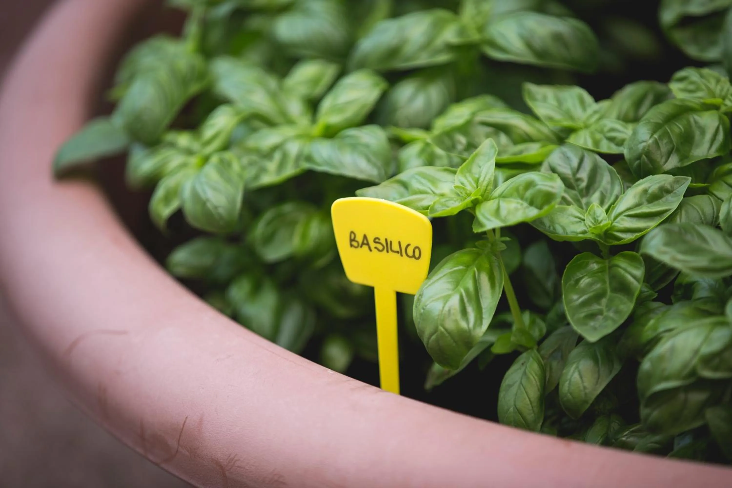 Decorative detail in Hotel Cambridge