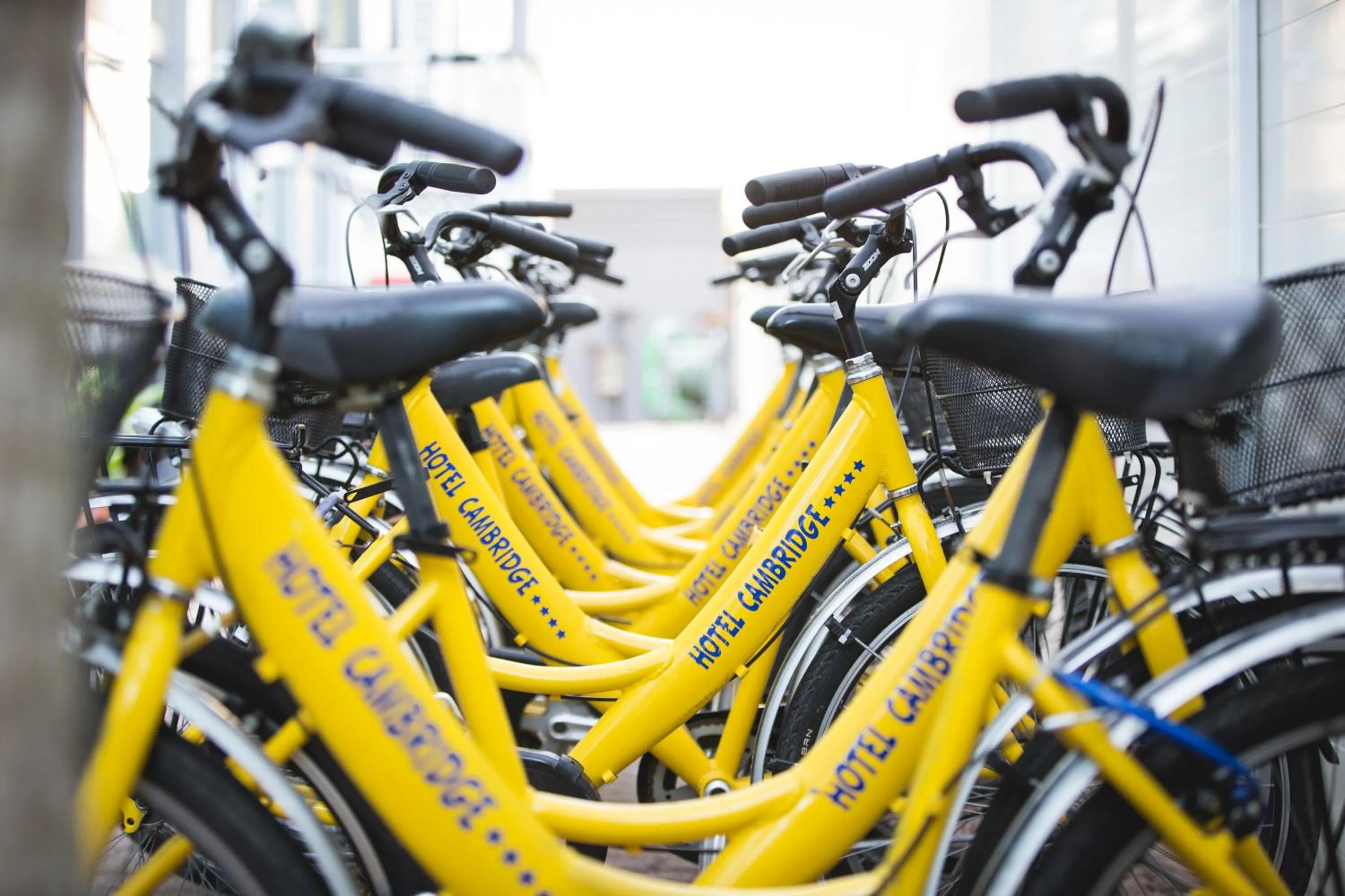 Activities in Hotel Cambridge