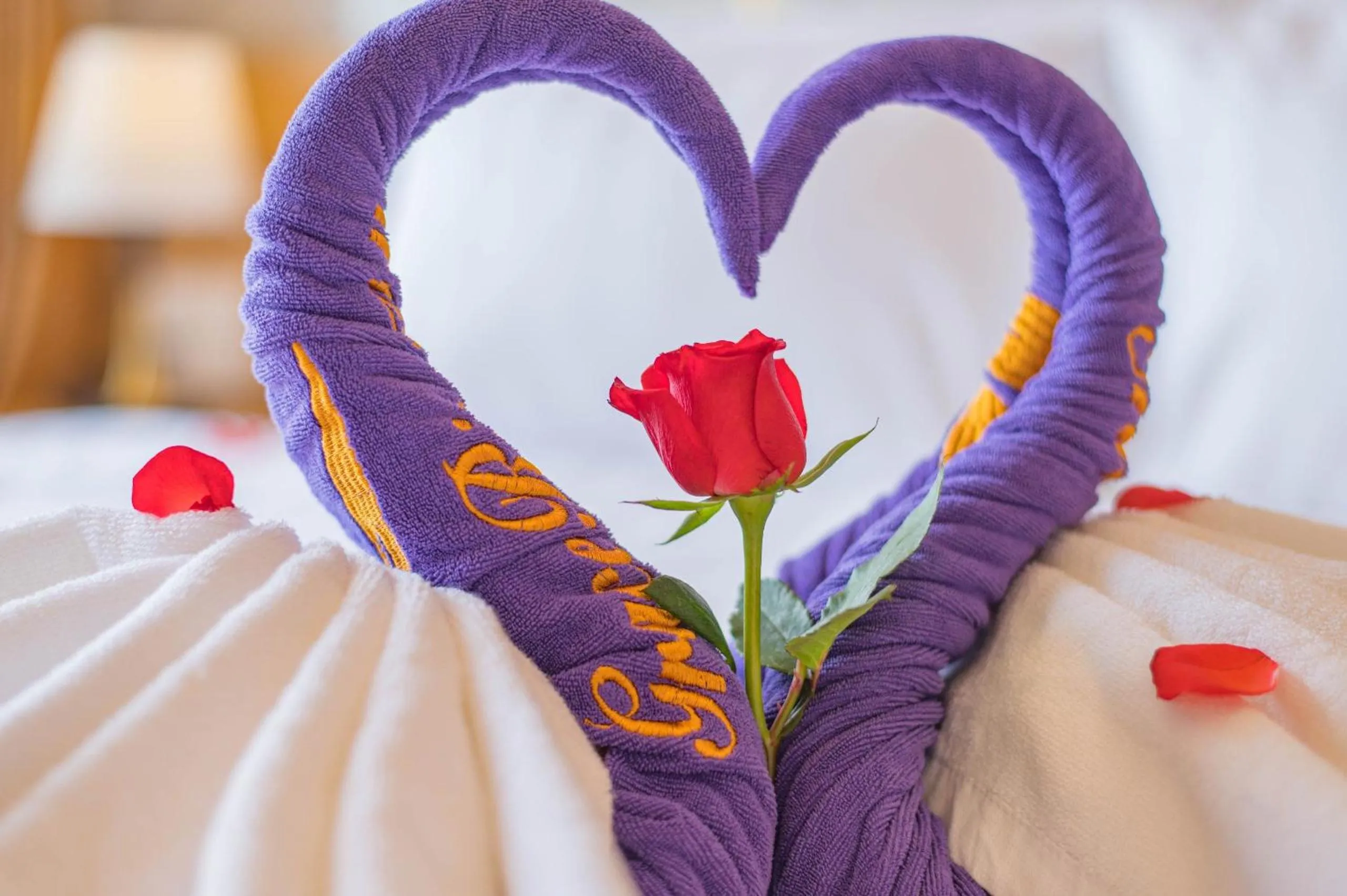 Banquet/Function facilities, Bed in Mint Hoi An Villa