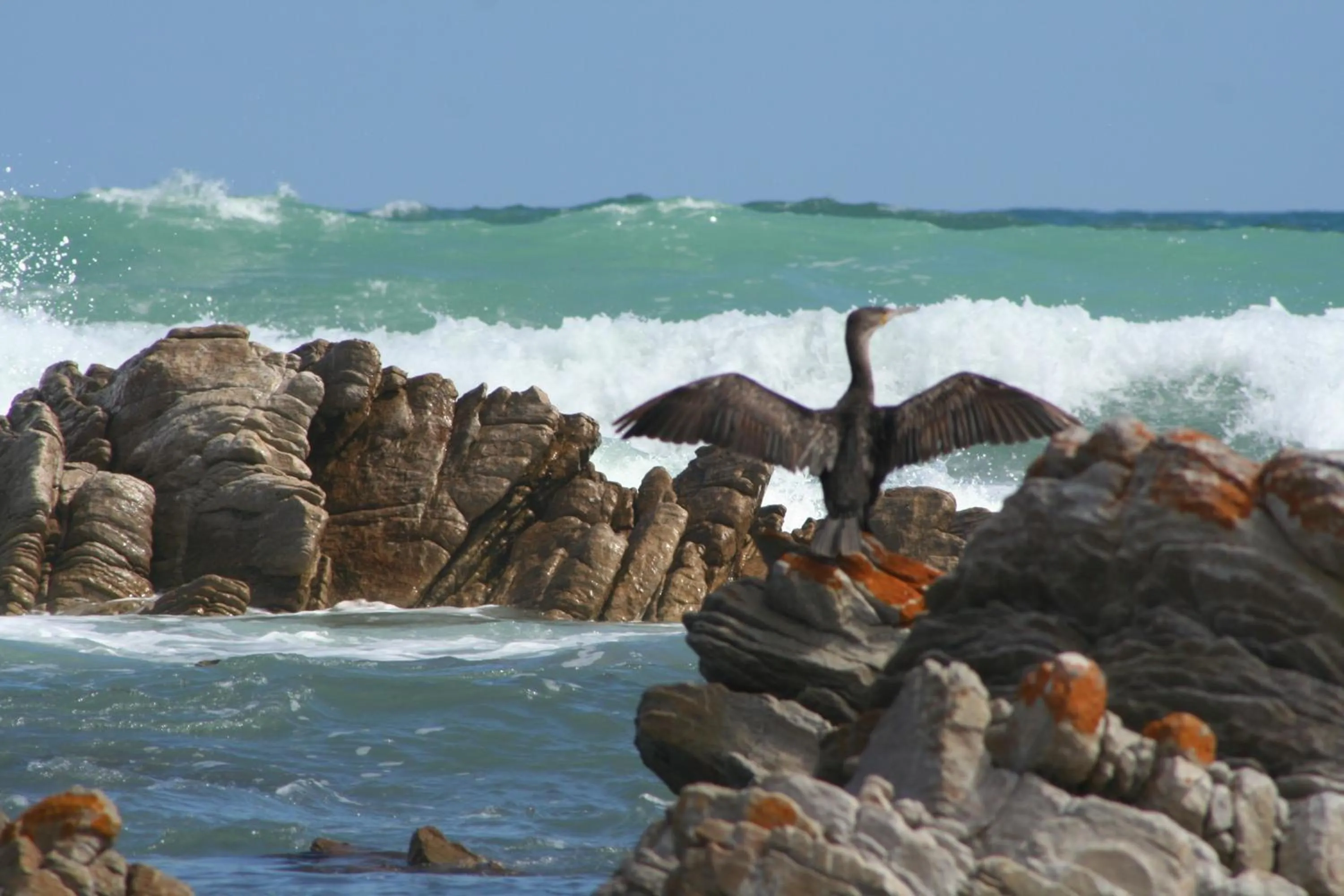 Natural landscape in Beachcombers