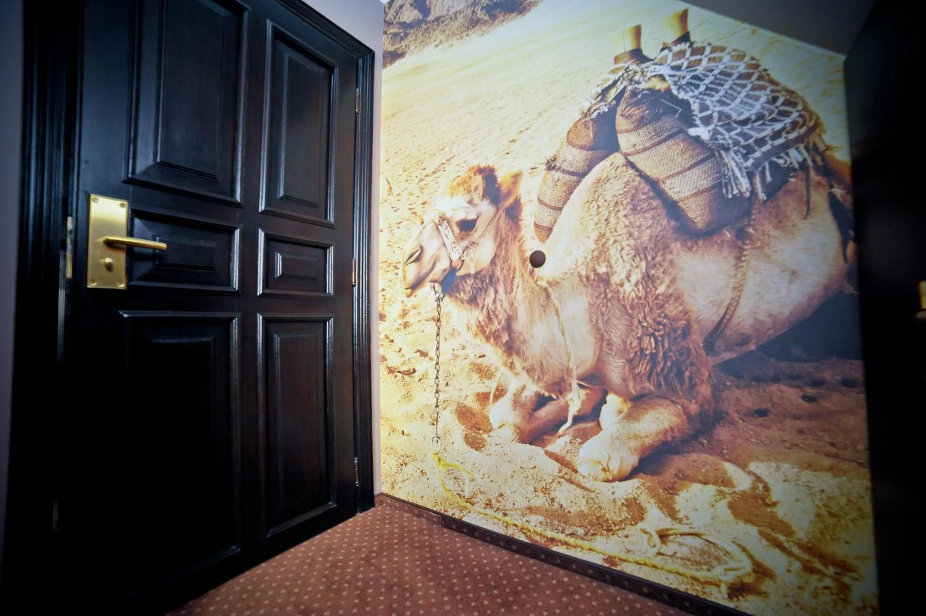 Other in World Hostel - Old Town