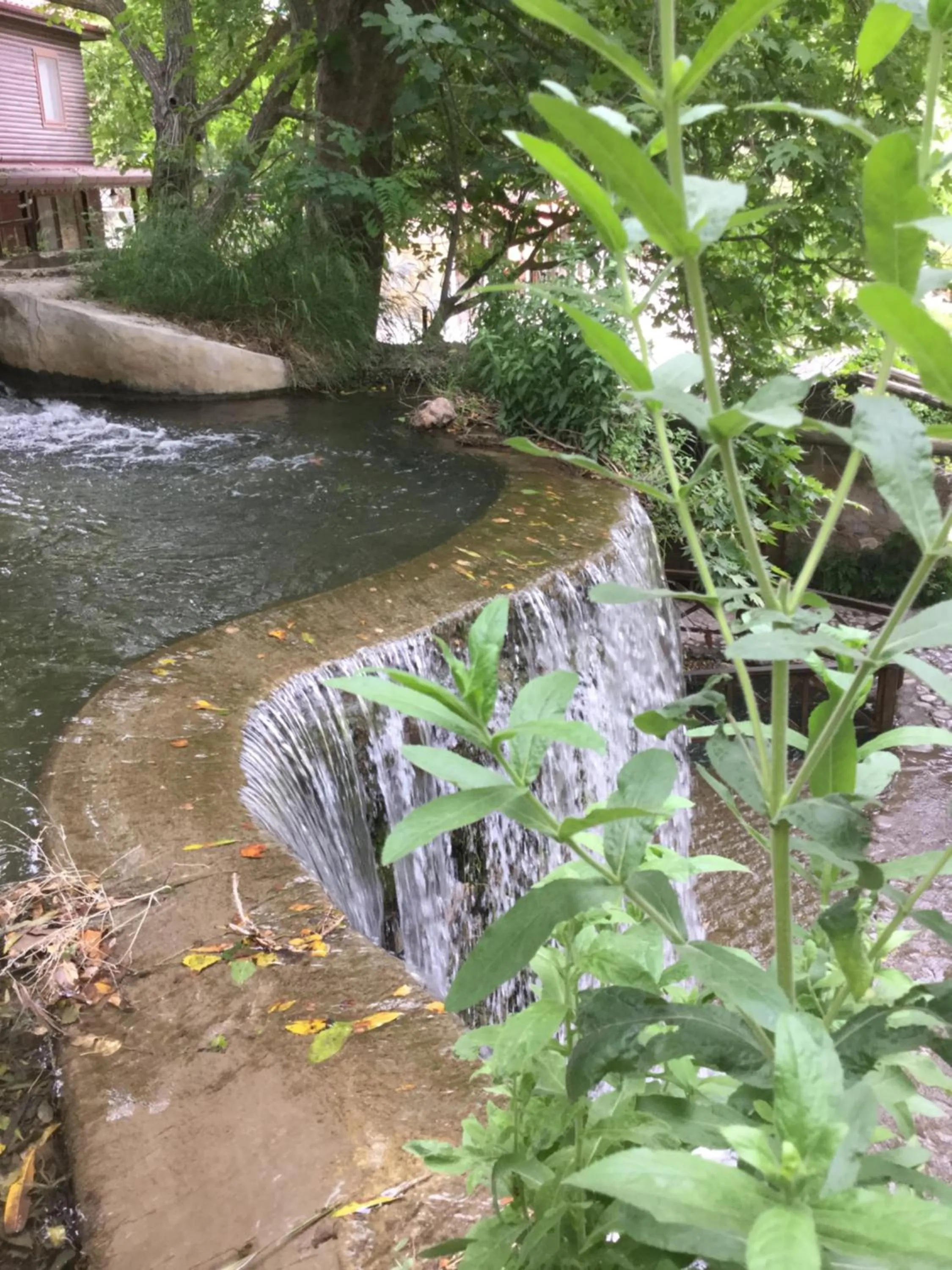 Natural landscape in Uyku Vadisi Hotel