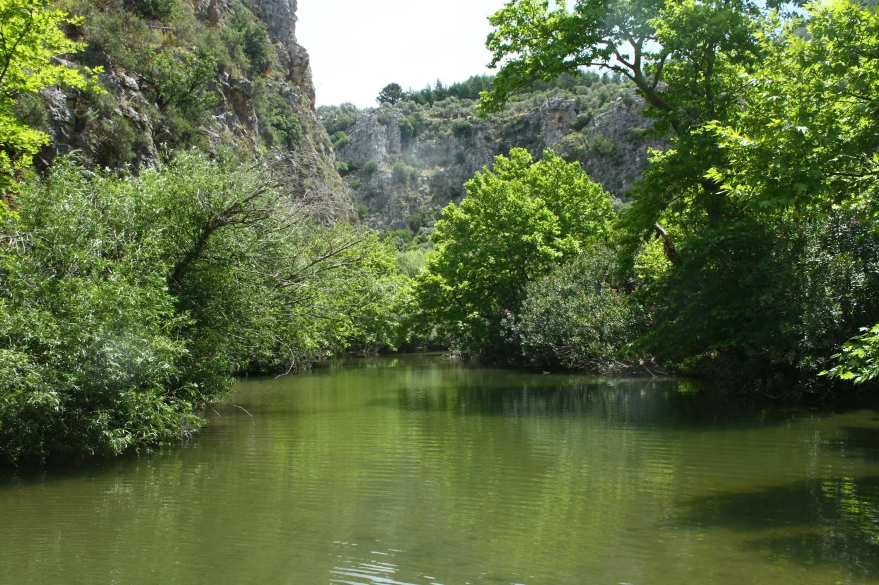 Natural landscape in Uyku Vadisi Hotel