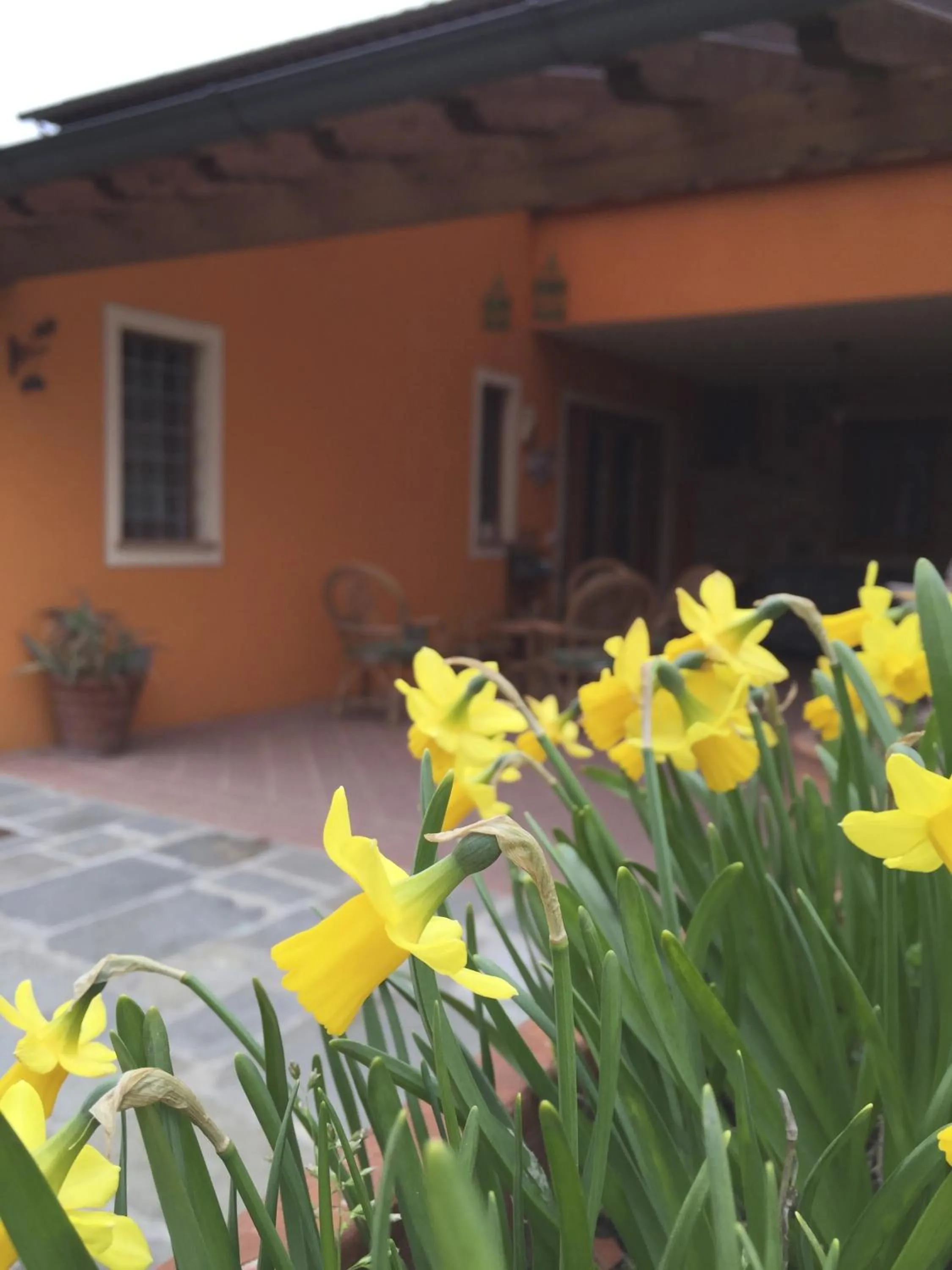 Spring in Corte Capitani