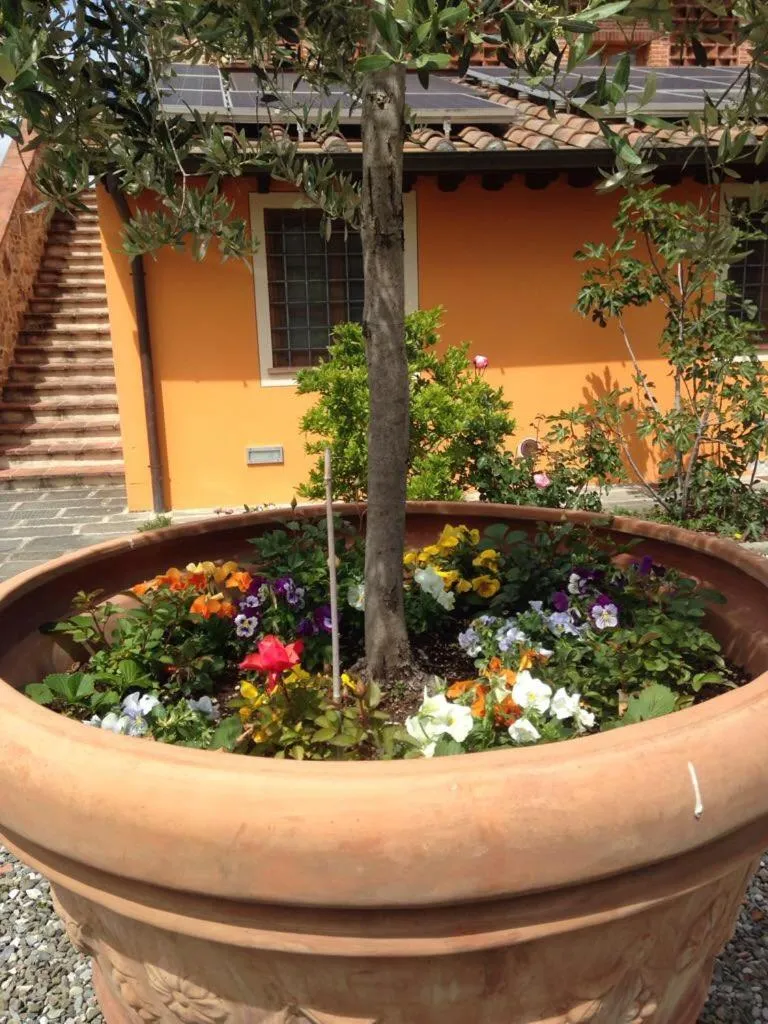 Patio in Corte Capitani