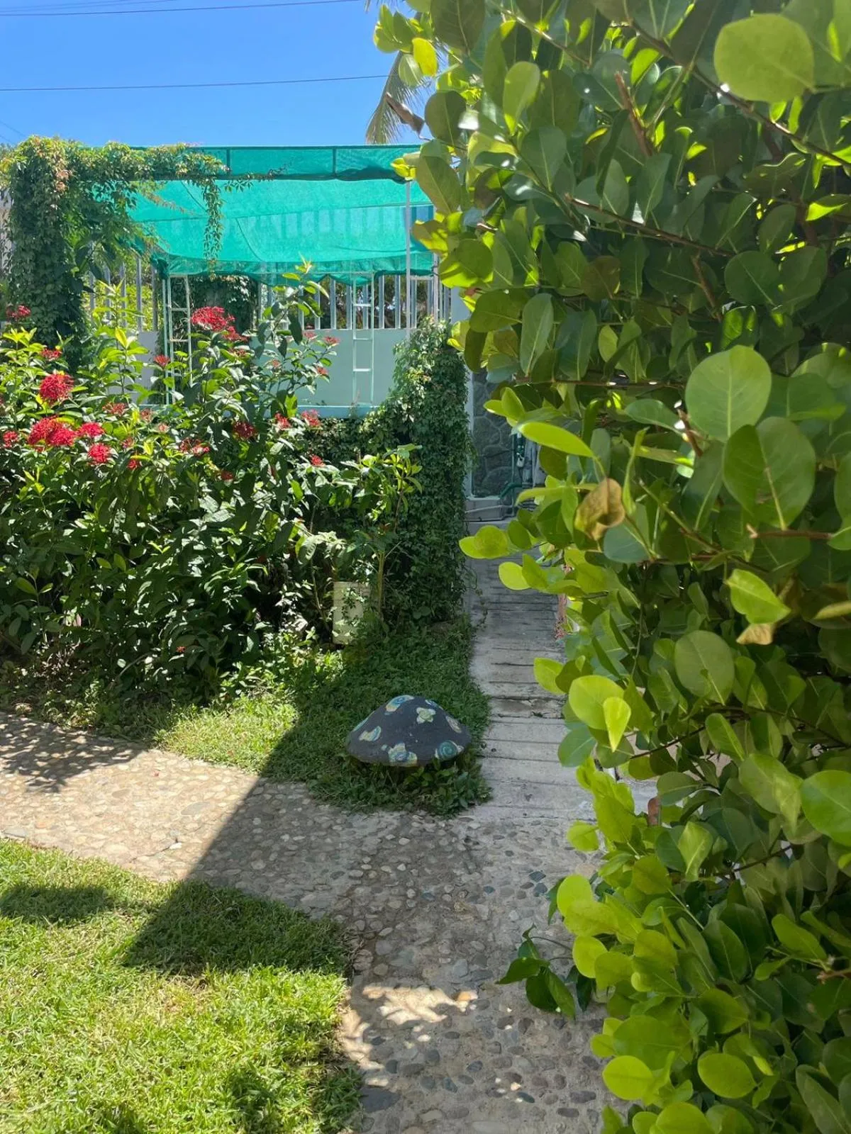 Garden in Hotel Bigu