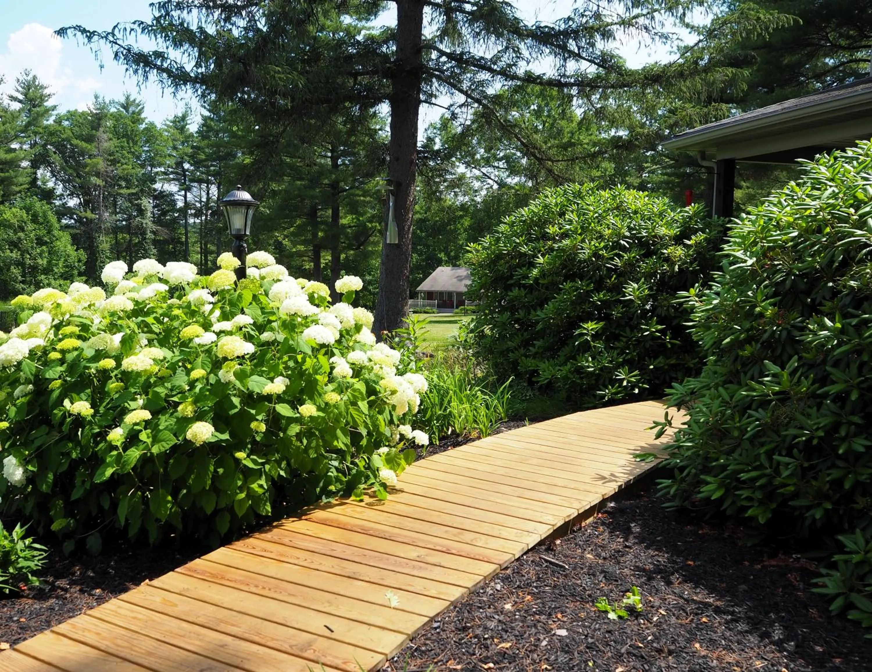 Natural landscape in Woodfield Manor - A Sundance Vacations Property