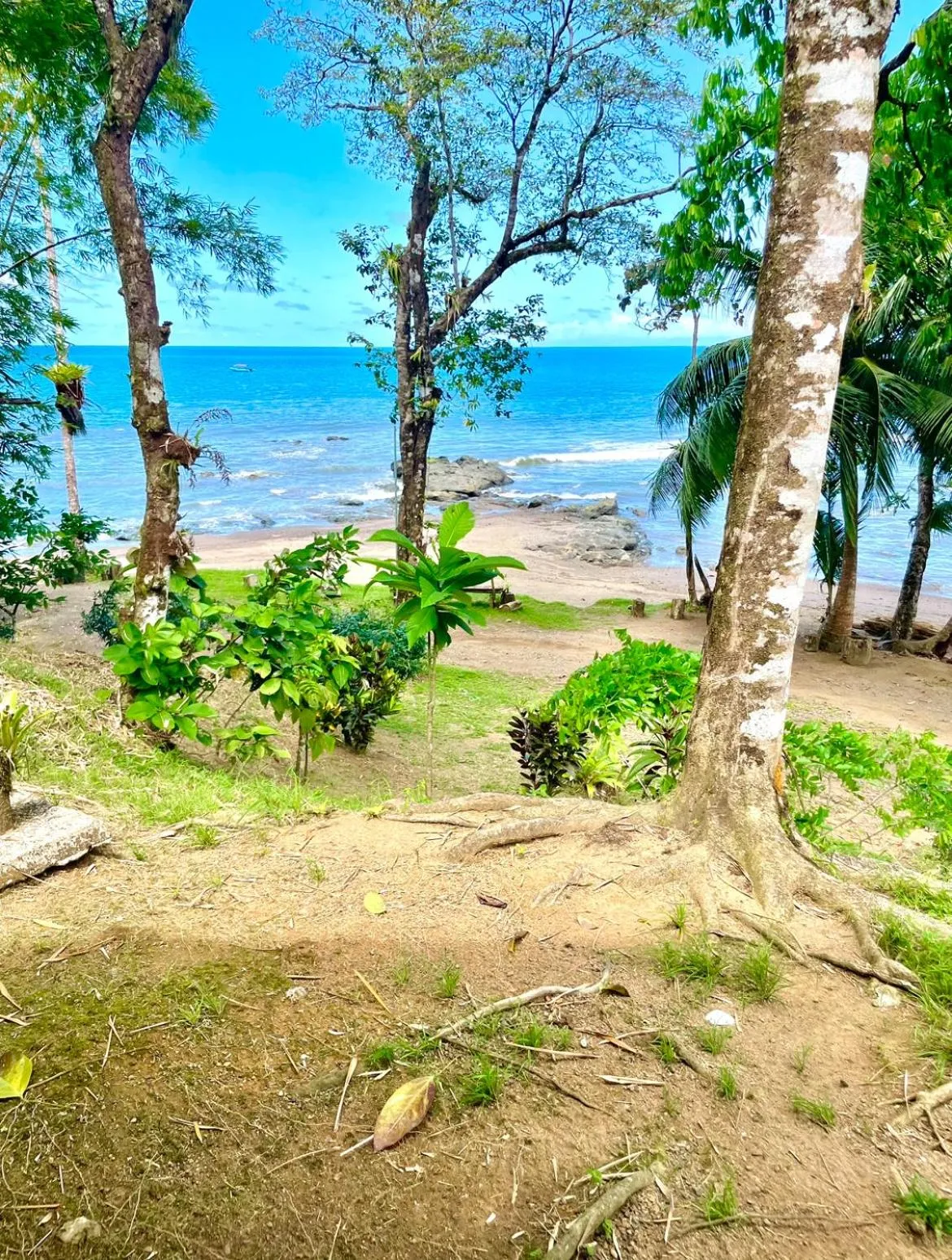 Pirate Cove