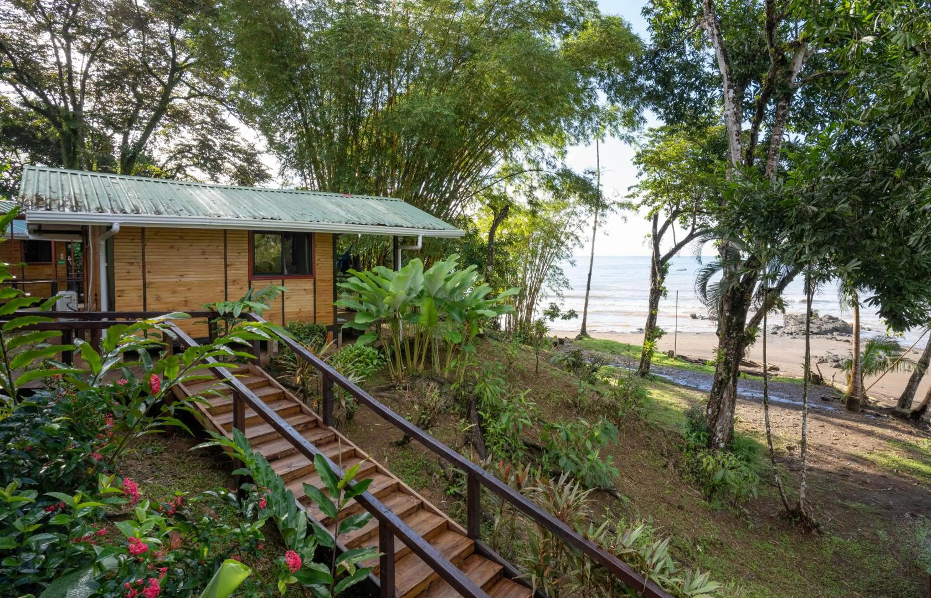 Property building in Pirate Cove