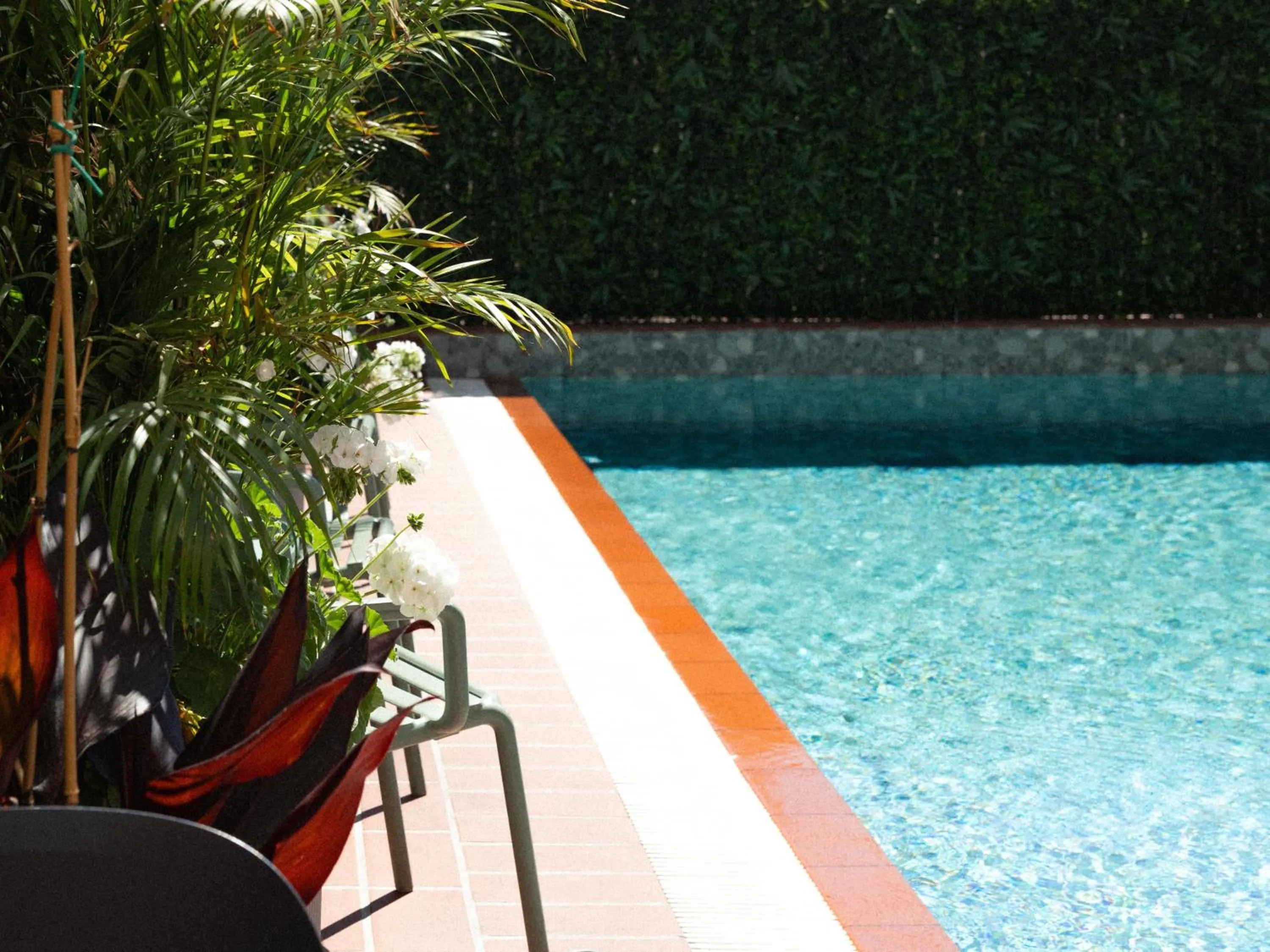 Swimming pool in Hotel Shoshana - Adults Only