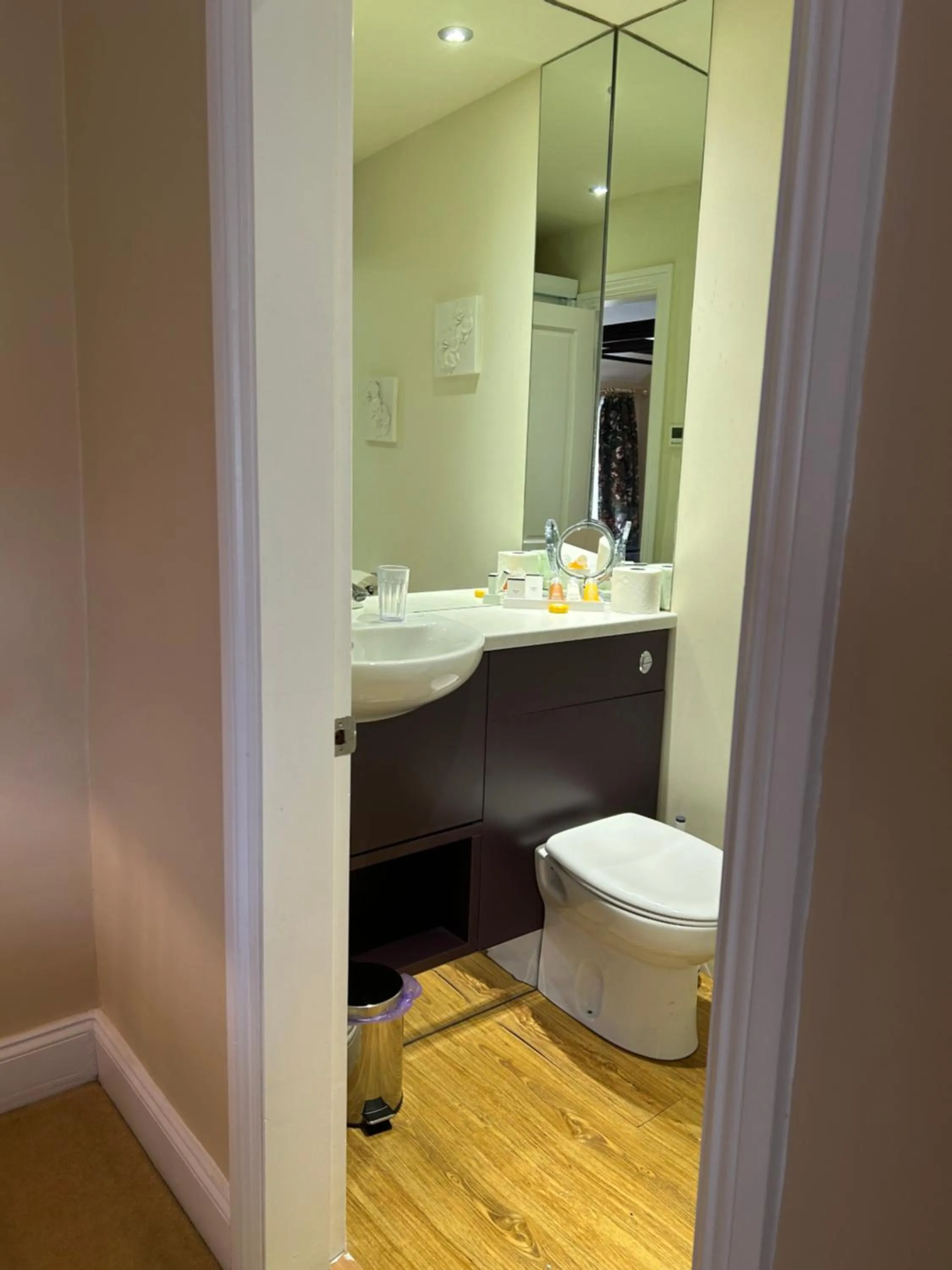 Toilet in Moresby Hall Country House Hotel