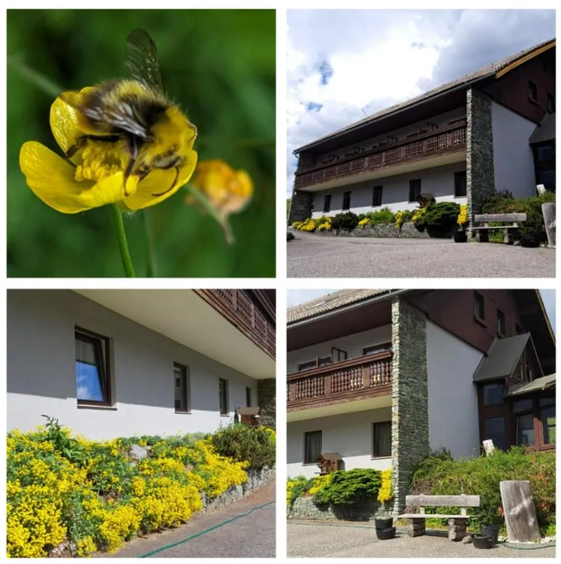 Property building in Draxlerhaus