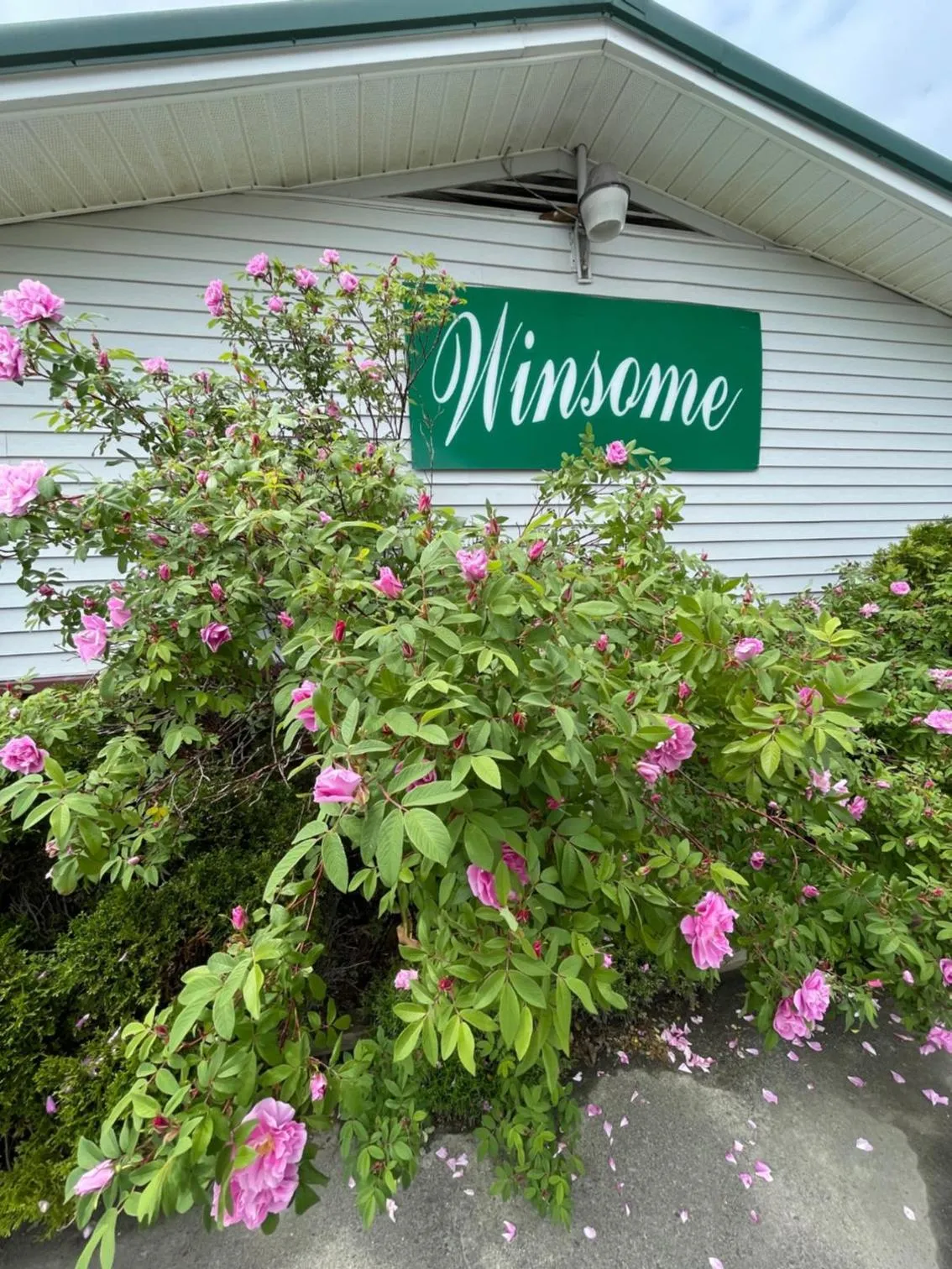 Property logo or sign in Winsome Inn