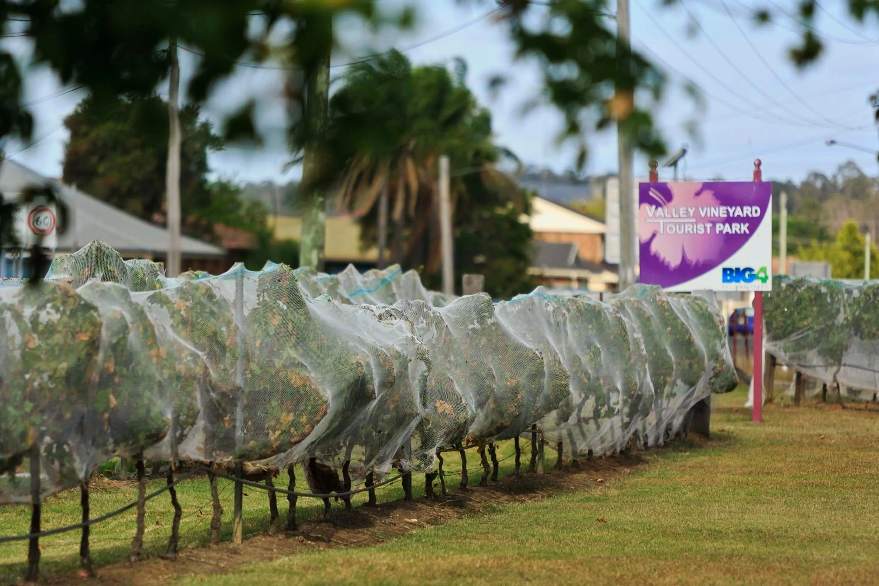 Logo/Certificate/Sign in Ingenia Holidays Hunter Valley