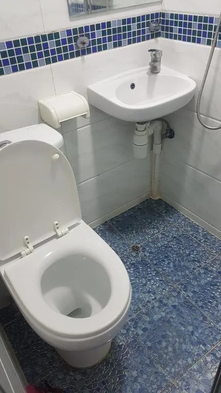 Toilet in Reliance Inn