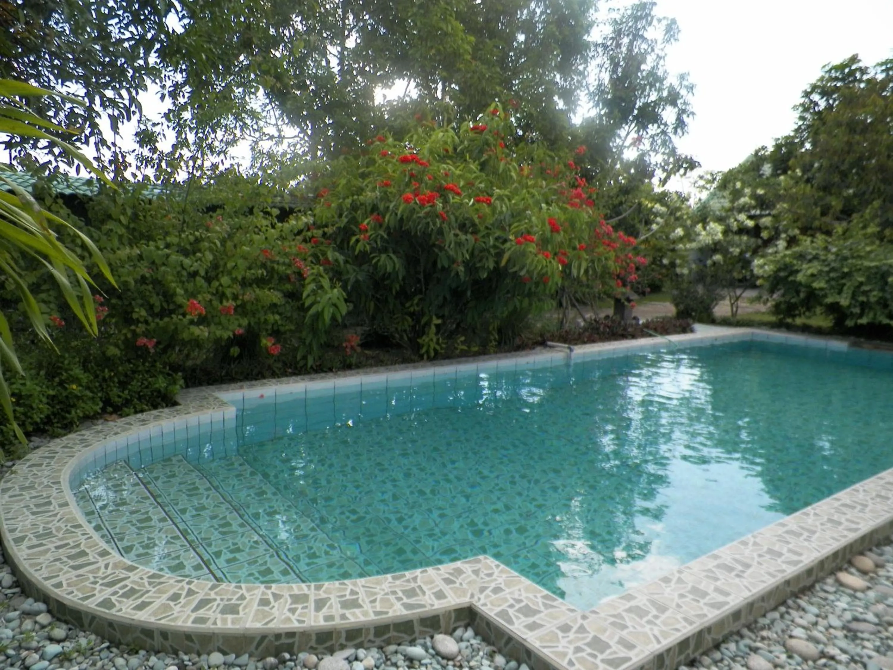 Swimming pool in Rumah Sawah