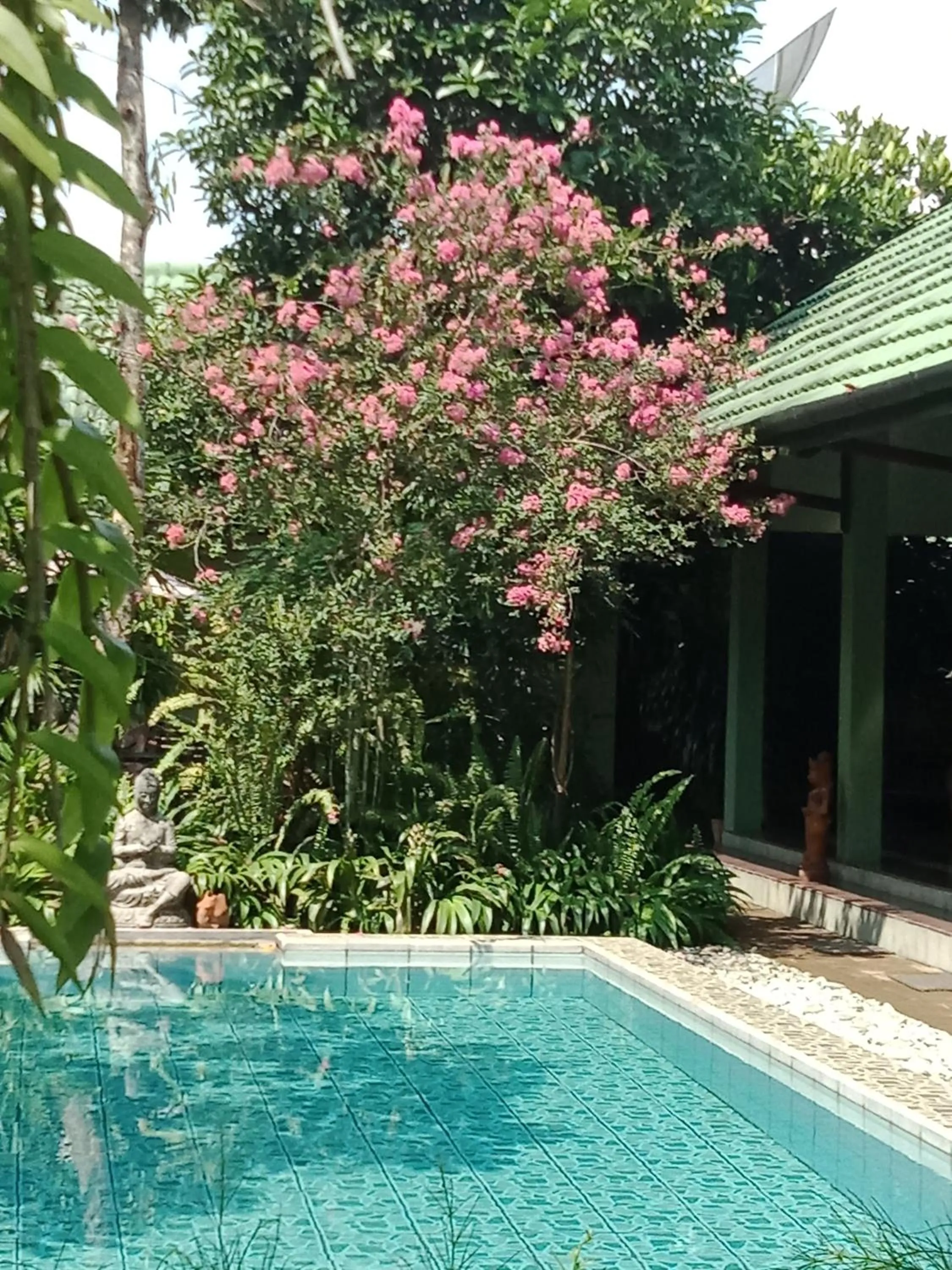 Swimming pool in Rumah Sawah