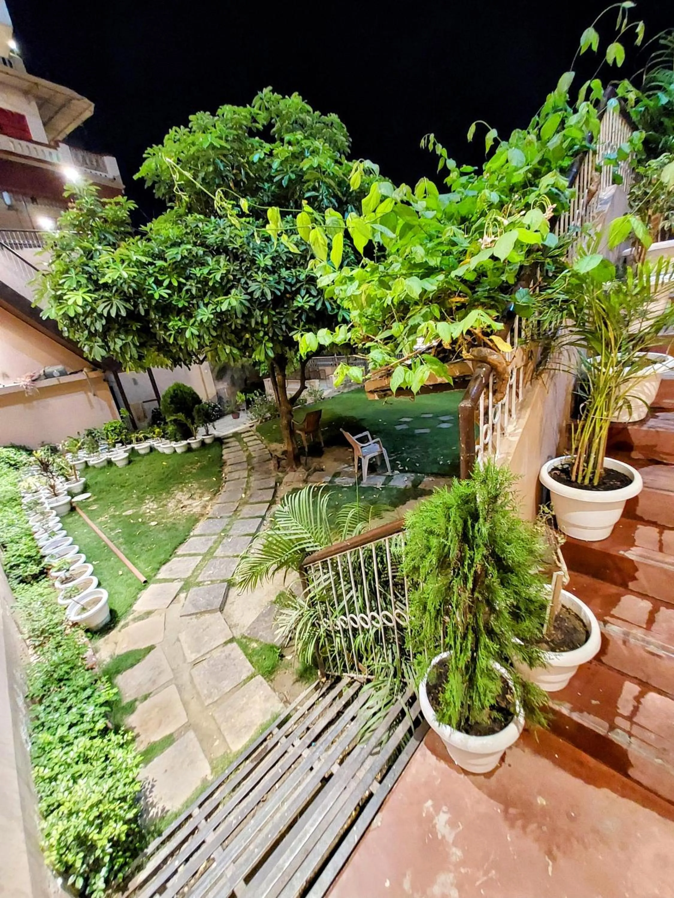 Garden in Hotel Alka