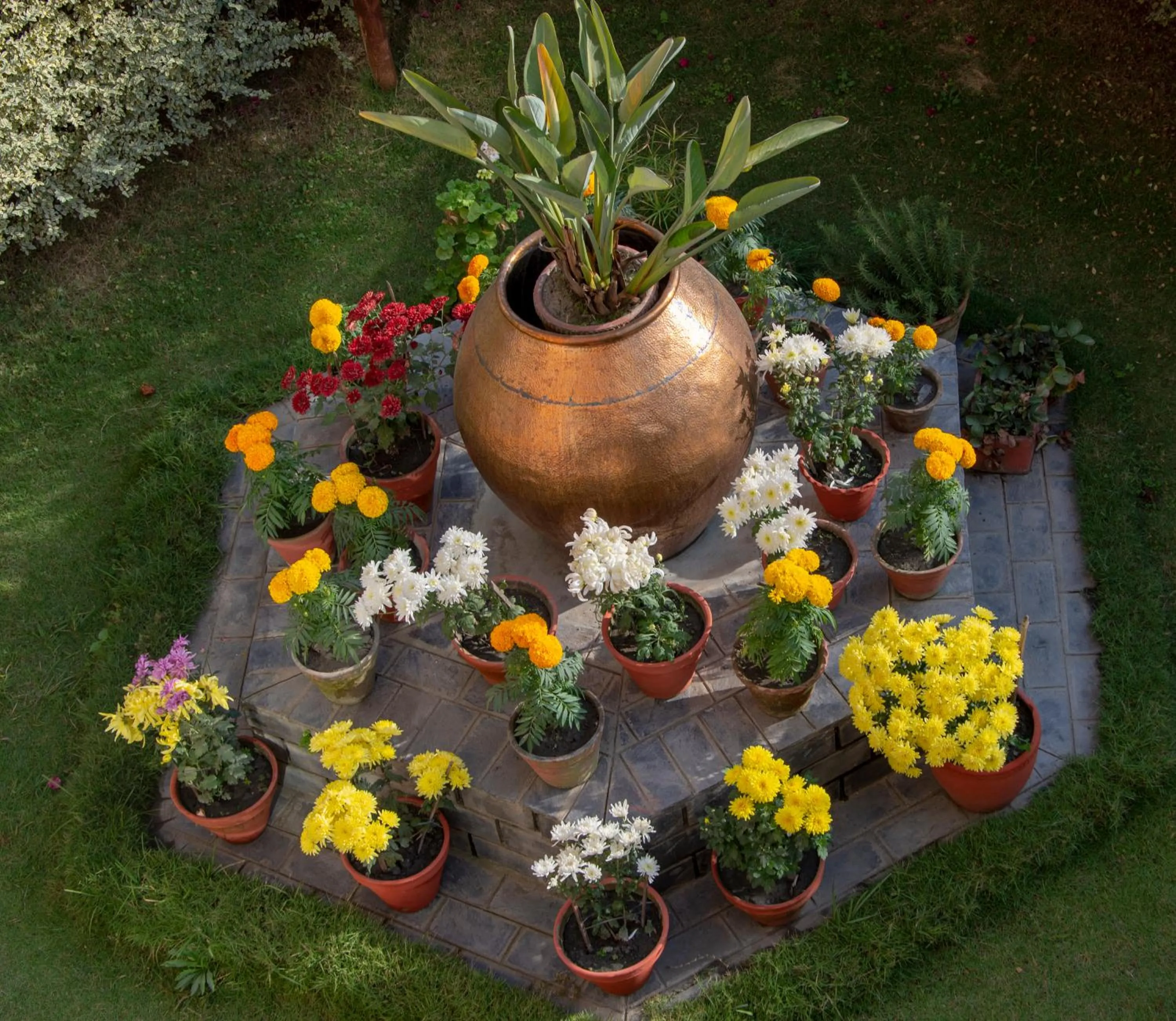 Garden in Shaligram Hotel