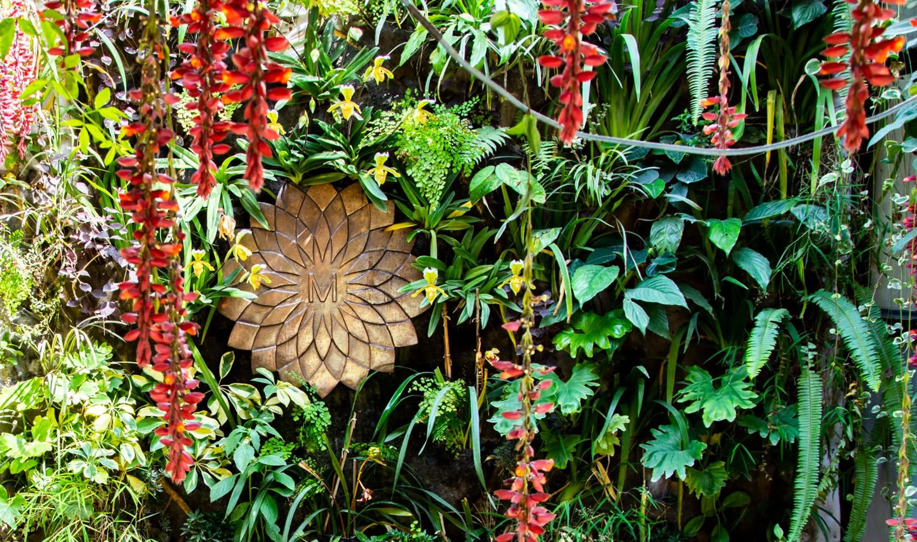 Garden in Shaligram Hotel