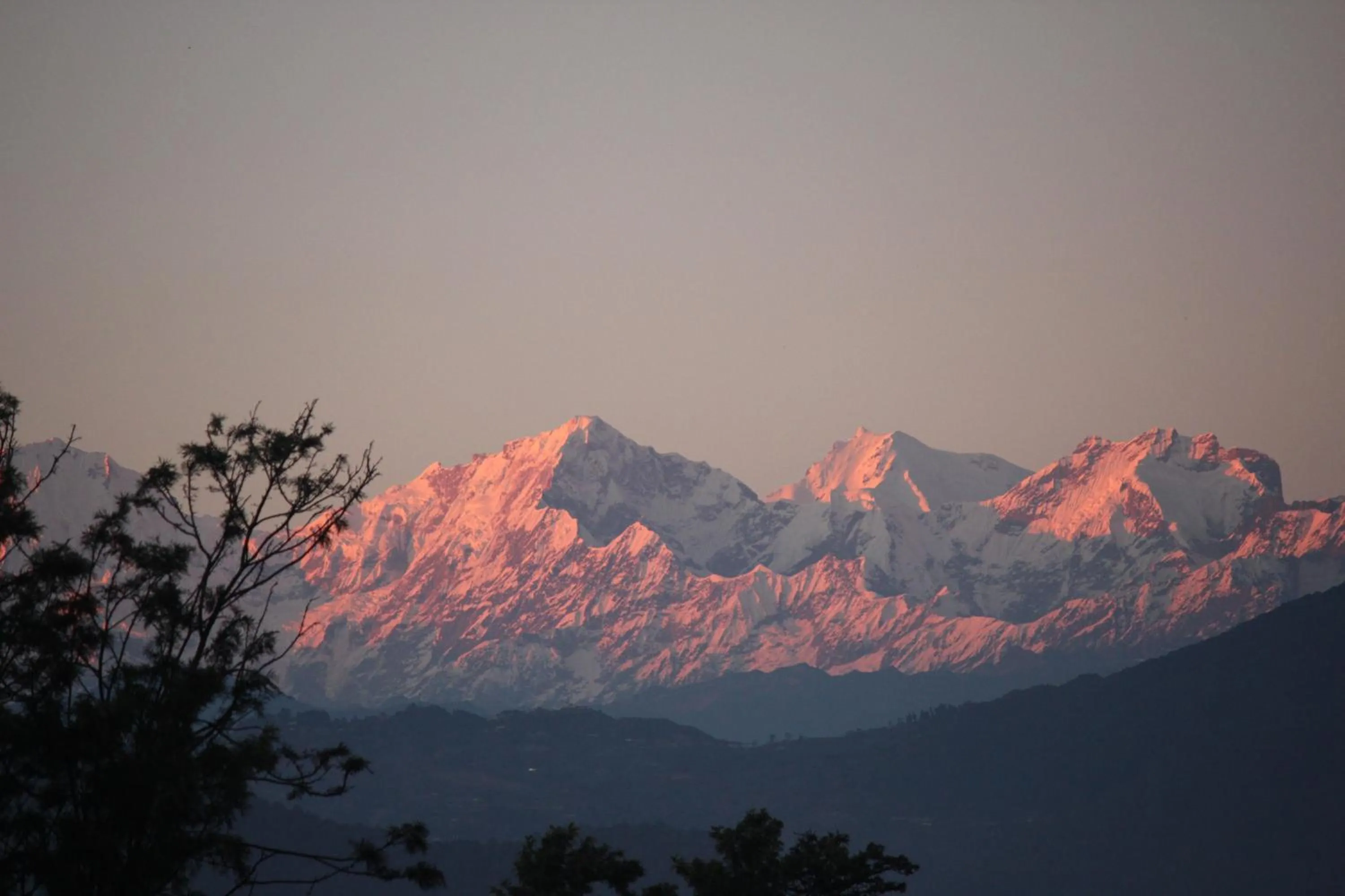 View (from property/room) in Shaligram Hotel