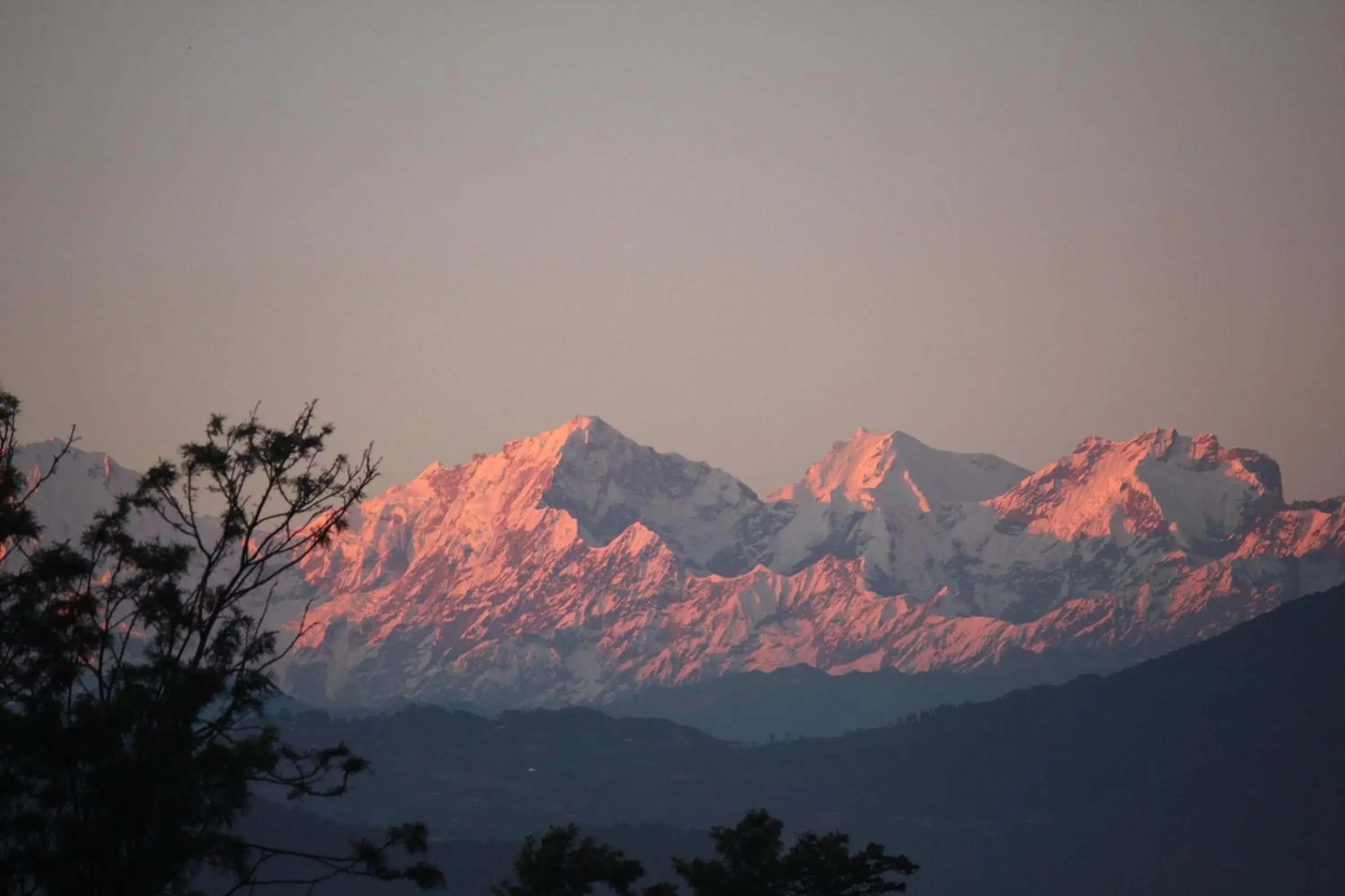 Double or Twin Room in Shaligram Hotel Double or Twin Room in Shaligram Hotel