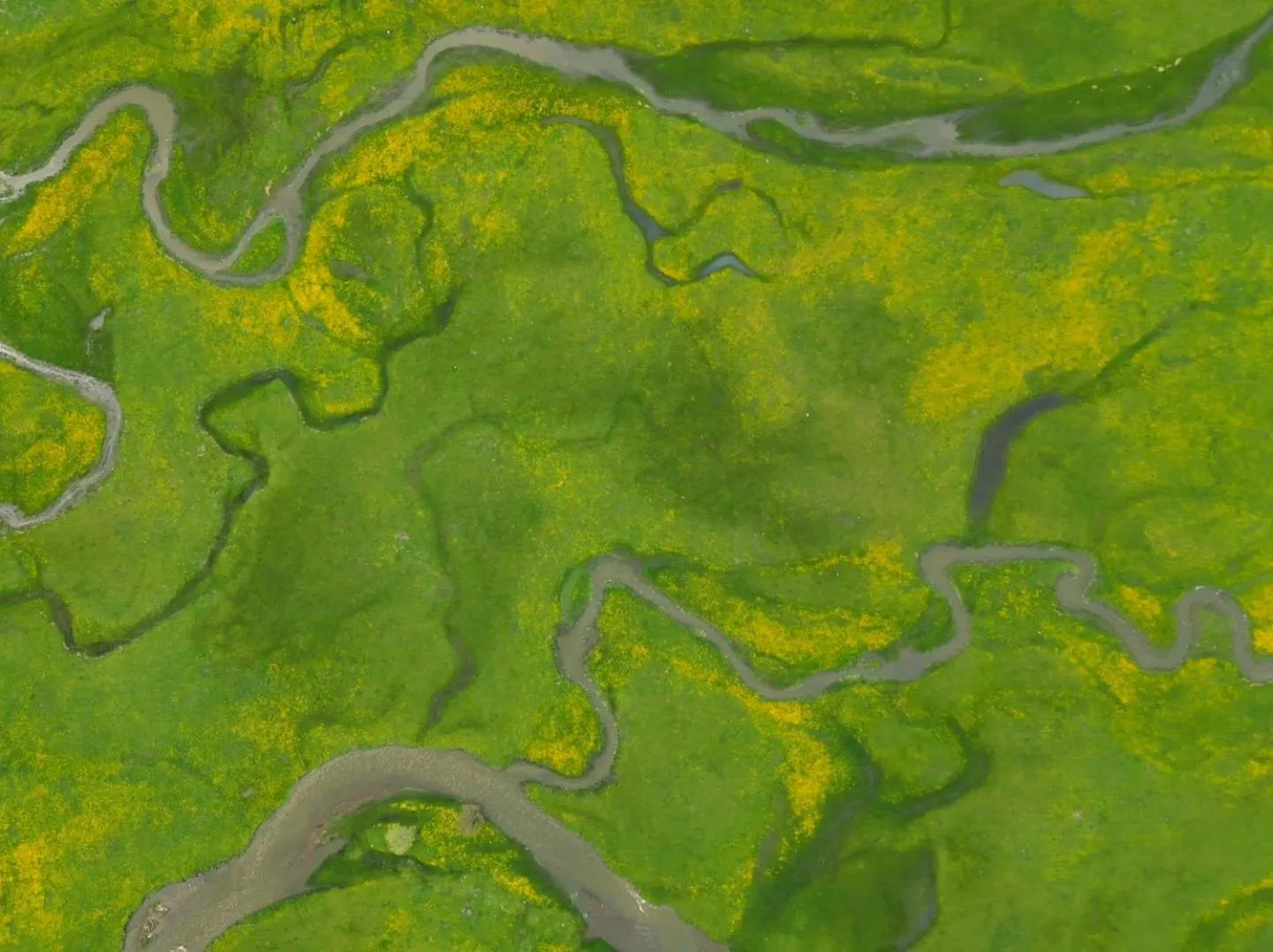 Natural landscape in Akhaltsikhe Inn