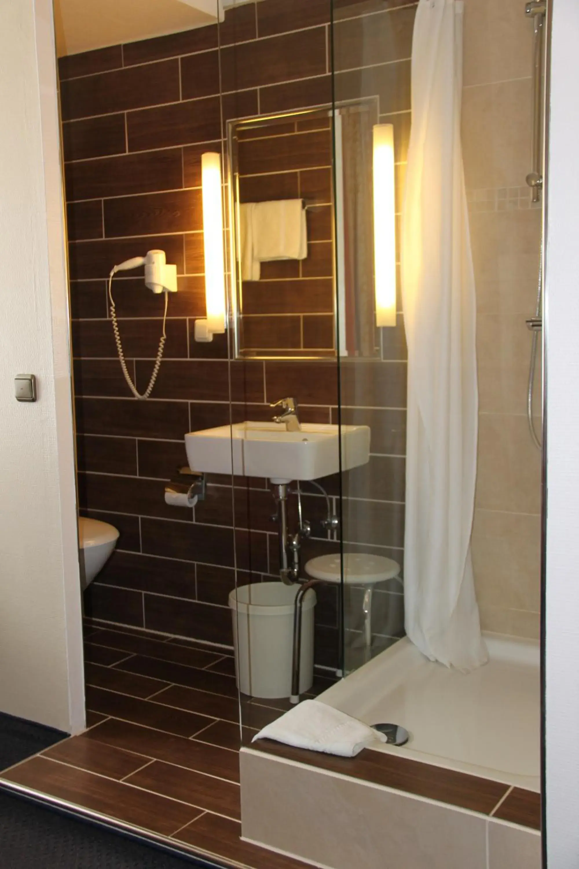 Single Room in Hotel Rheinischer Hof Single Room in Hotel Rheinischer Hof