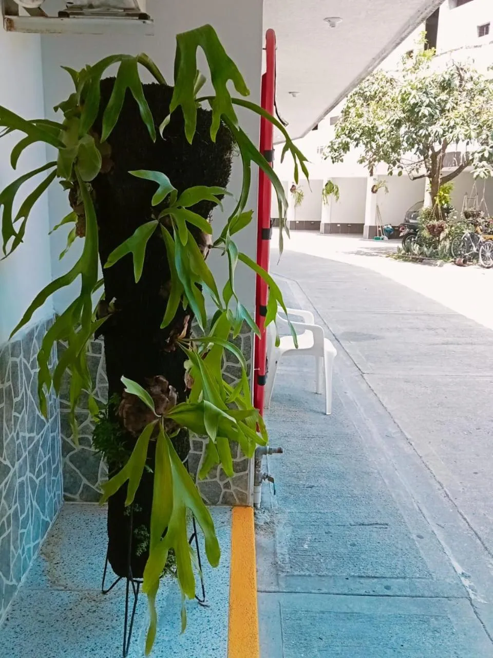 Garden in HIDALGO HOTEL