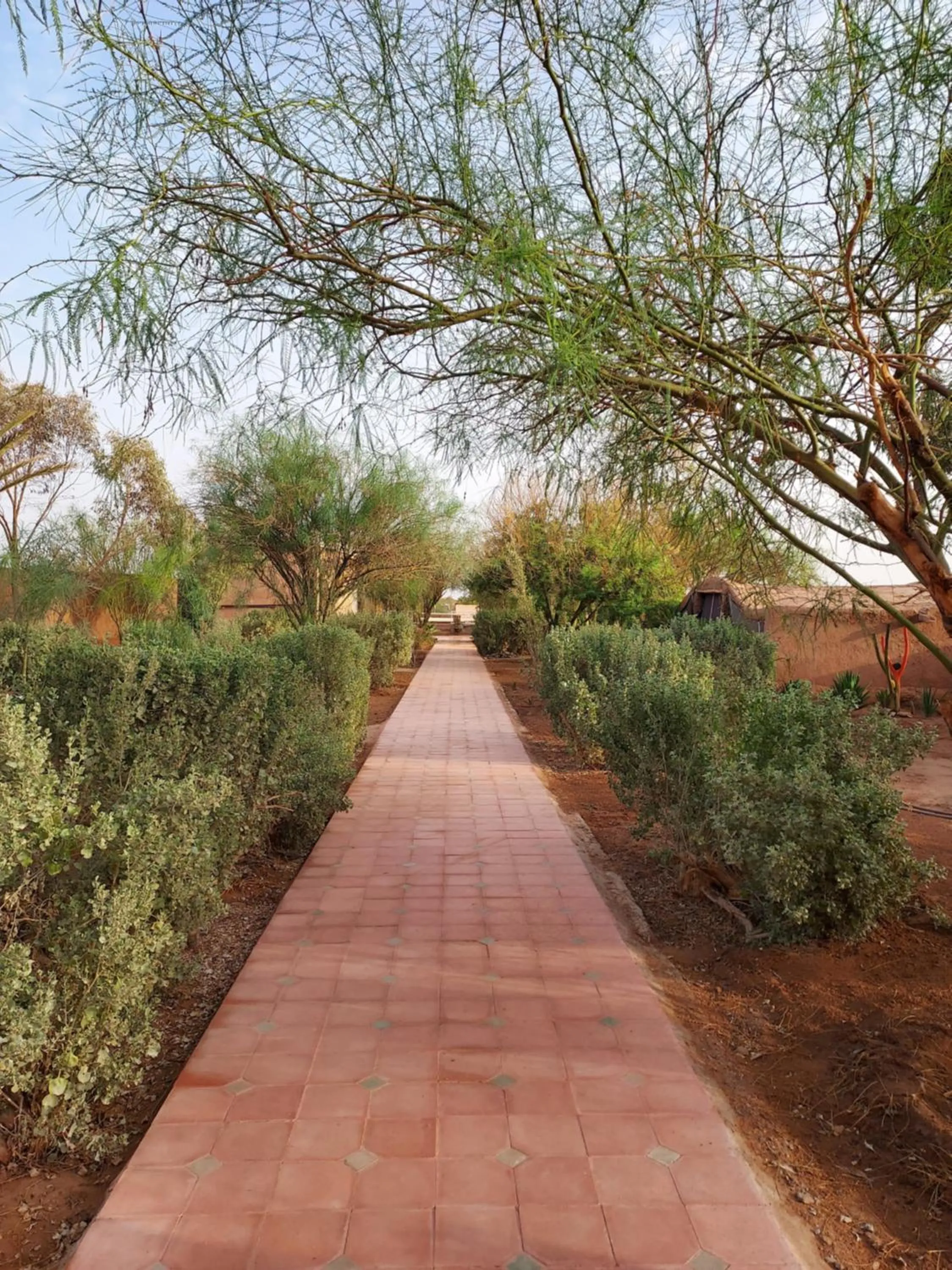 Pool view in Riad ma bonne étoile