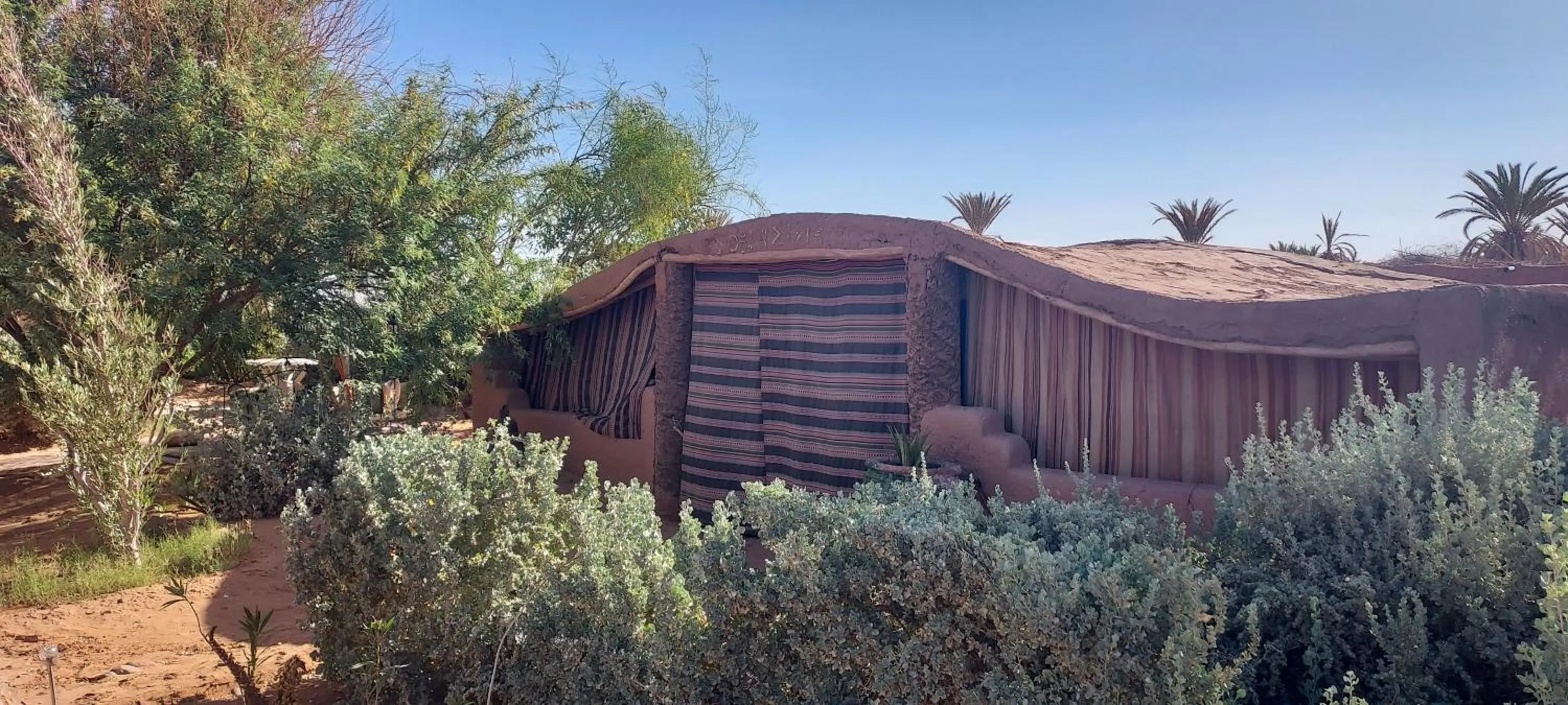 Garden in Riad ma bonne étoile
