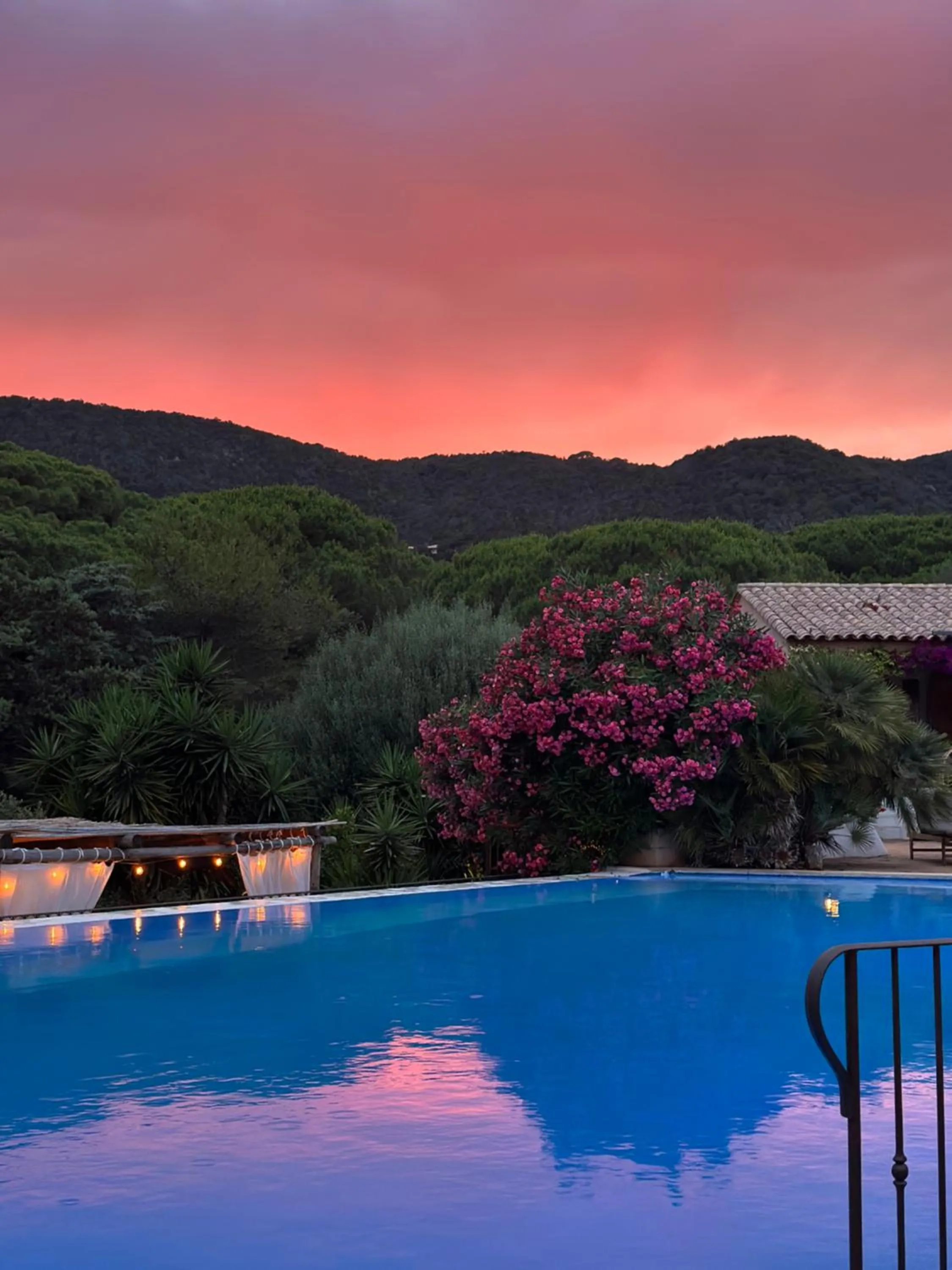 Swimming pool in Hôtel Palombaggia