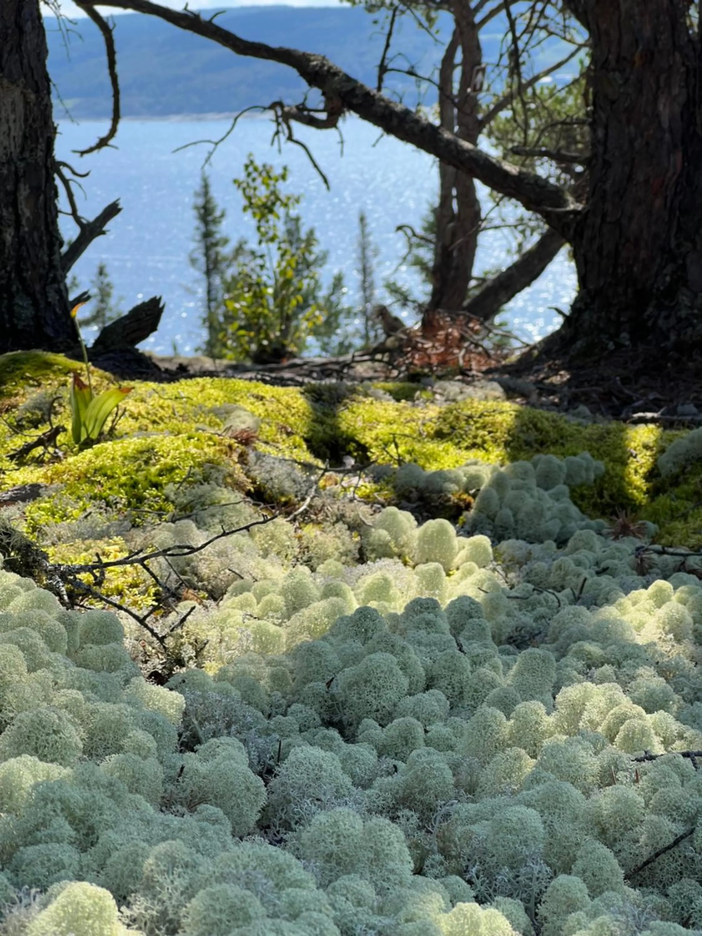 Spring in Magical Loft : Breathtaking View & Cozy Fireplace