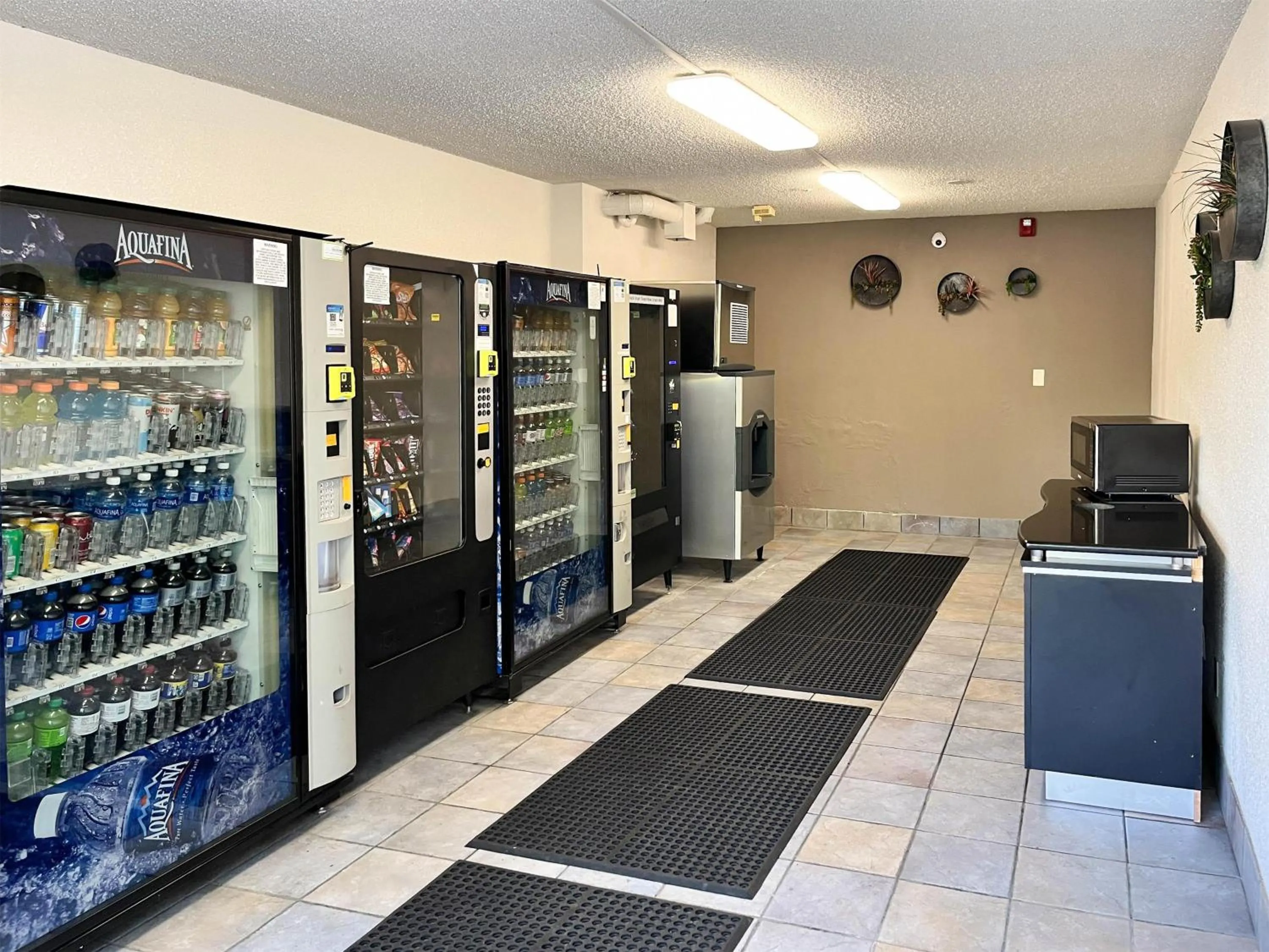 Photo of the whole room in Studio 6 Belmont, CA San Francisco Redwood