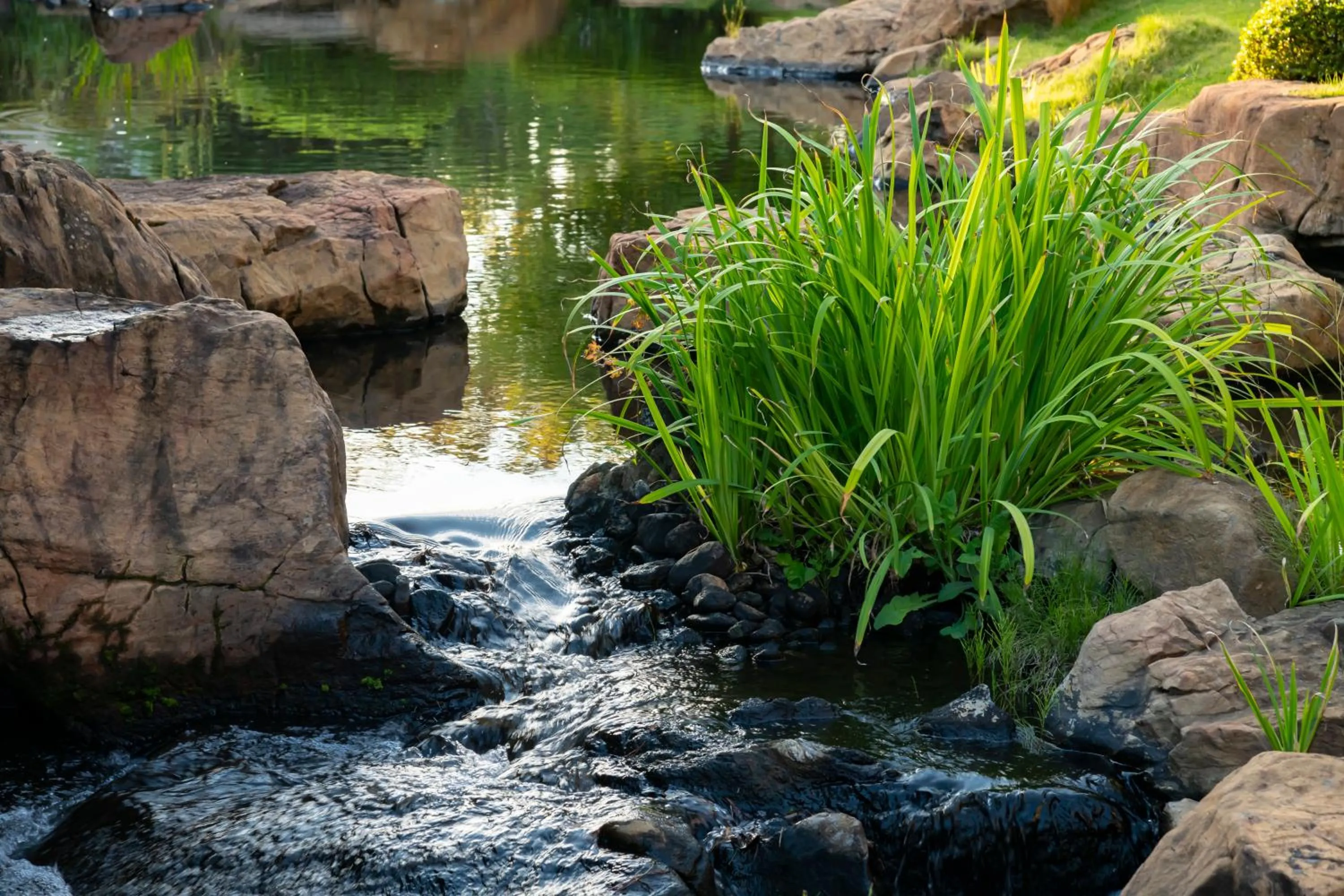 Natural landscape in Tokiwa Hotel