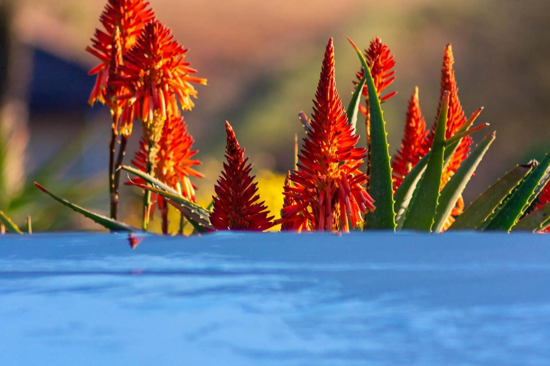 Day in Inkungu Lodge