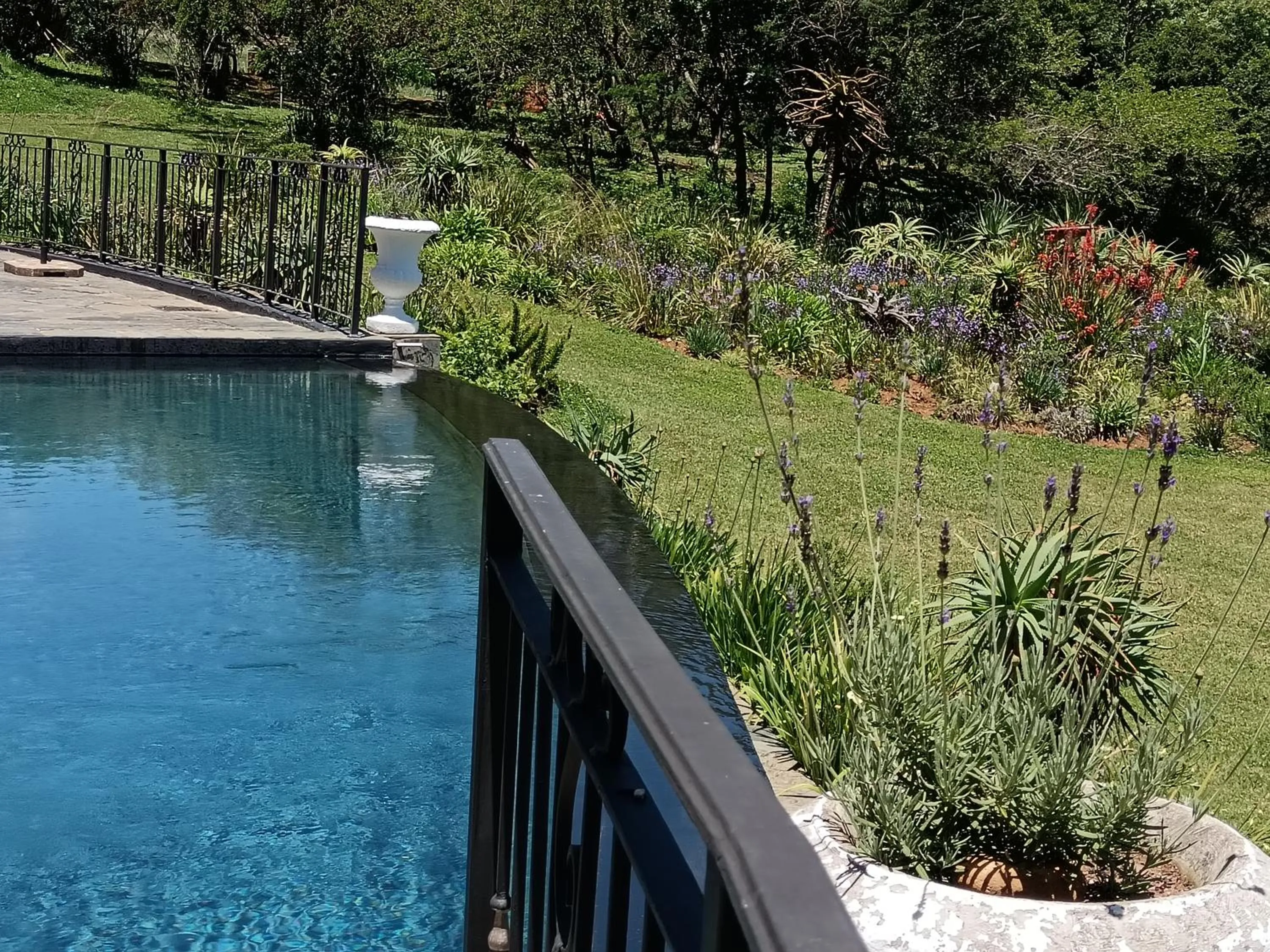 Pool view in Inkungu Lodge