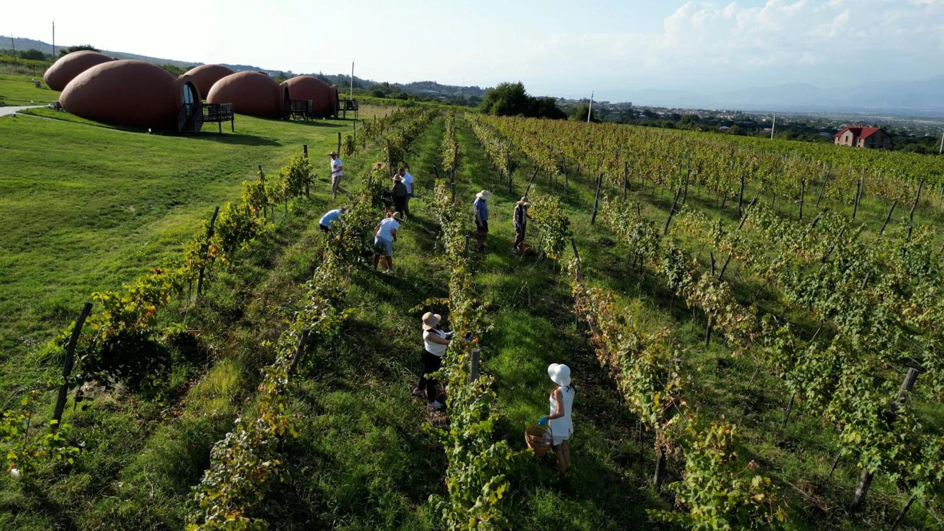 Day in Hotel Qvevrebi